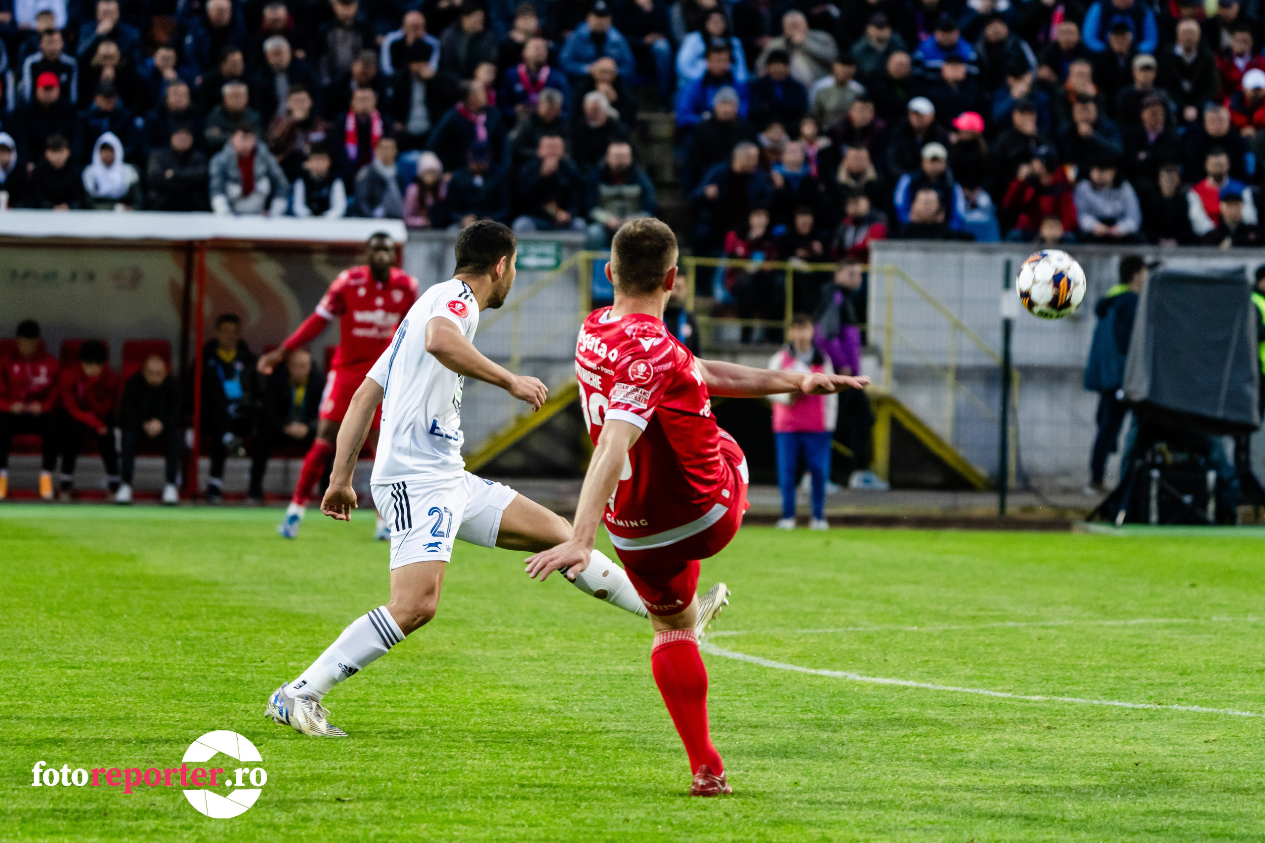Momente Epice: Galerie foto din meciul de fotbal FC Botoșani vs Dinamo