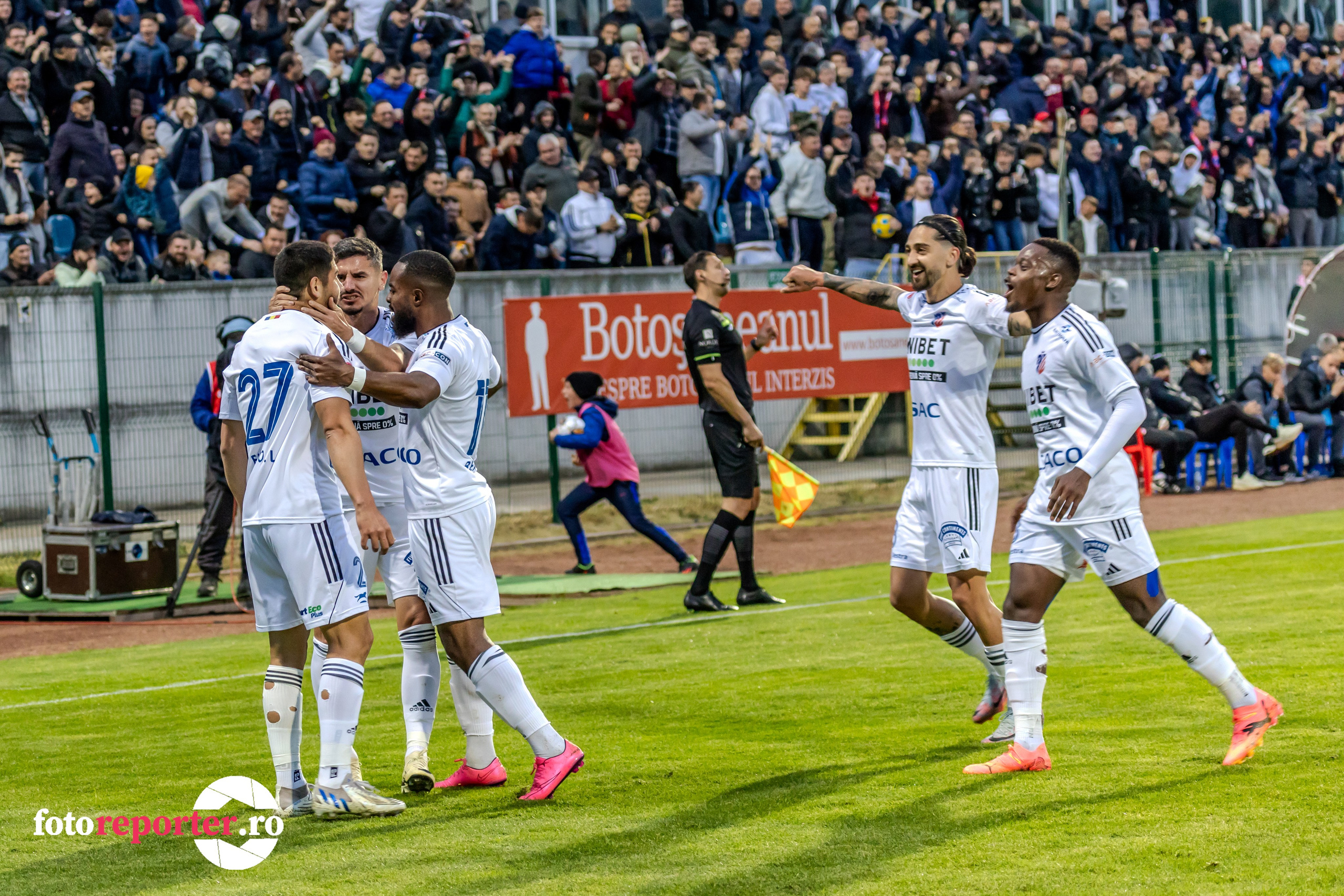 Momente Epice: Galerie foto din meciul de fotbal FC Botoșani vs Dinamo