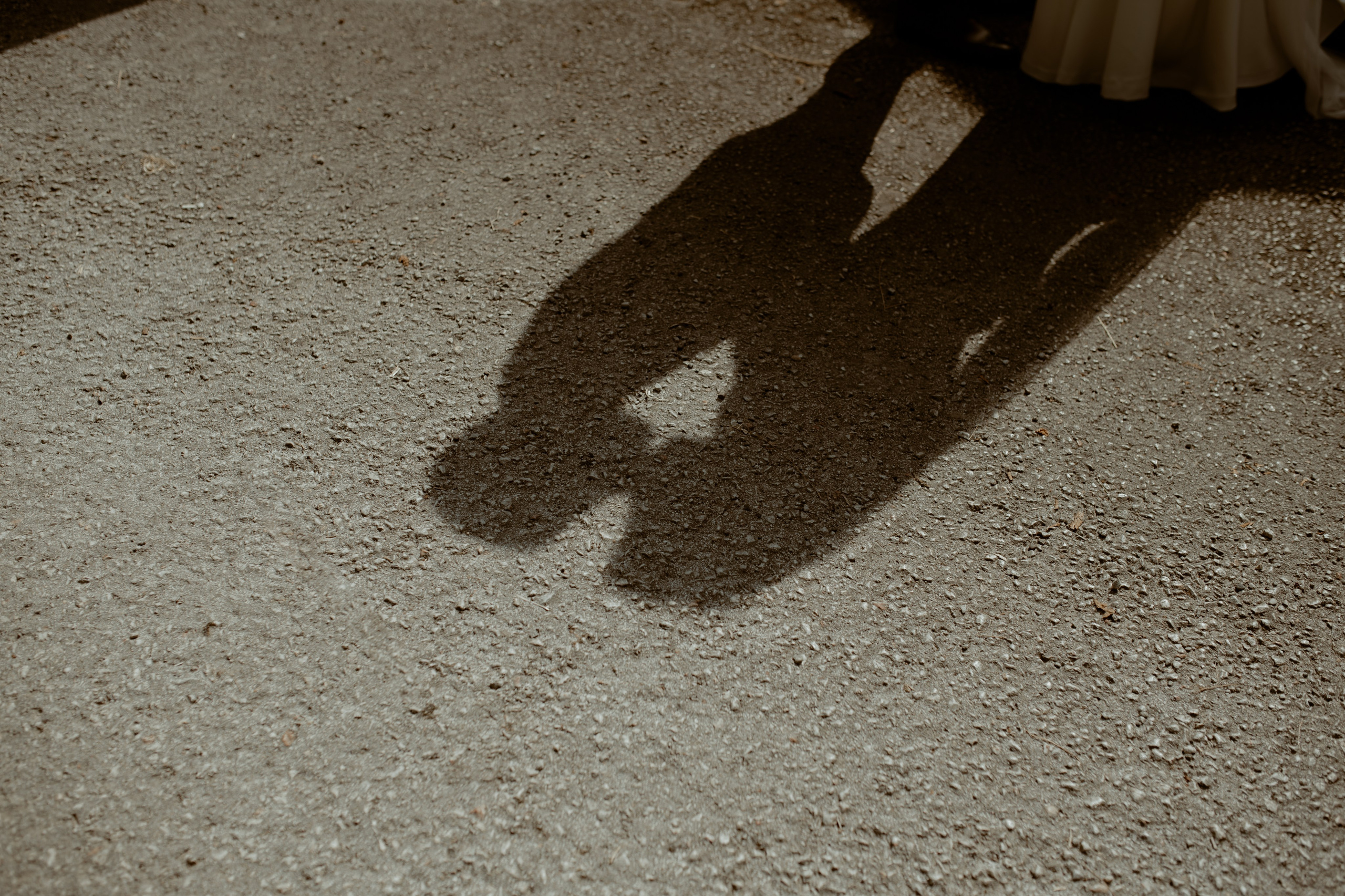 M&N. Wedding & Family photographer Jelena Anđelić