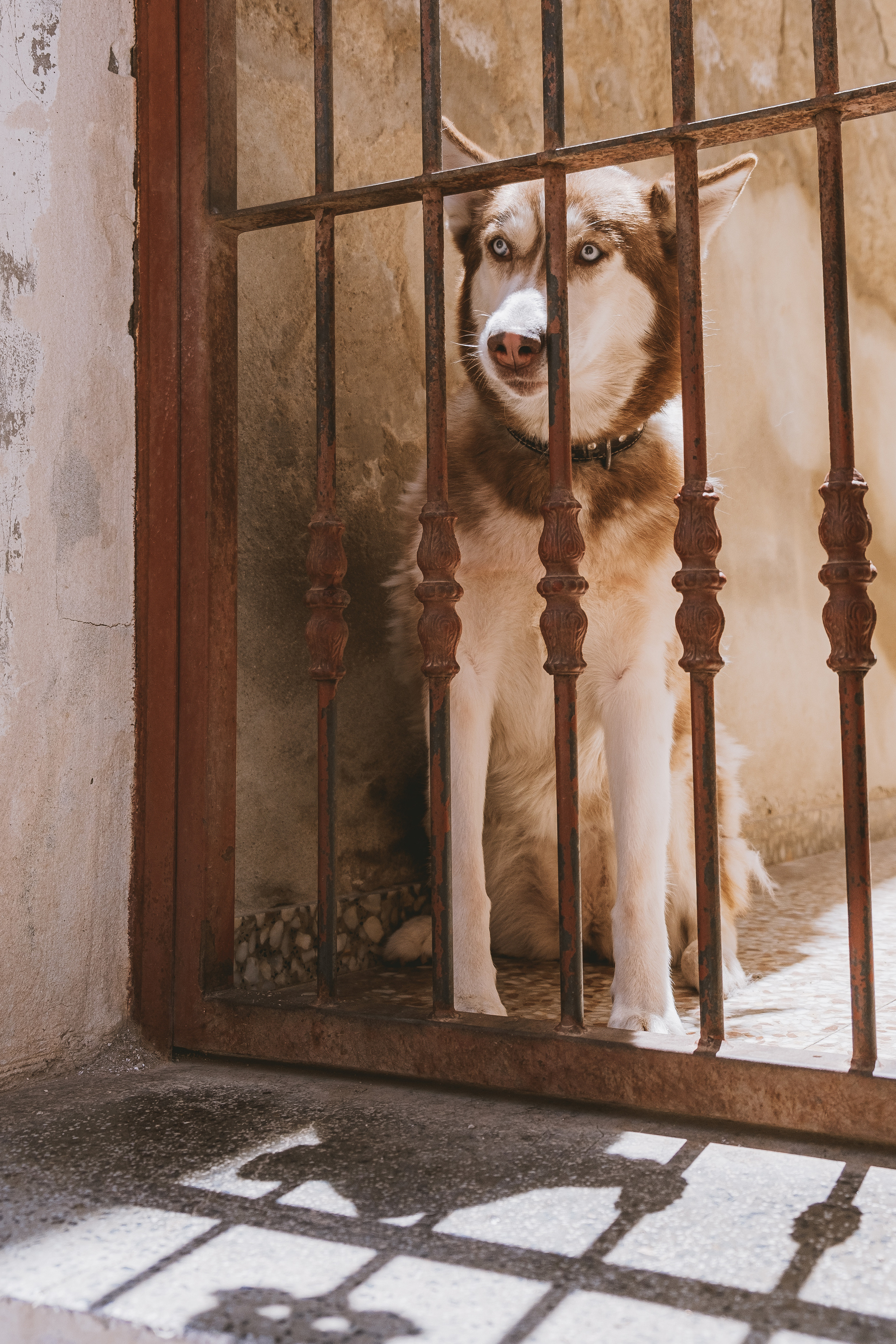 Orihuela (Ориуэла, кат. Oriola)