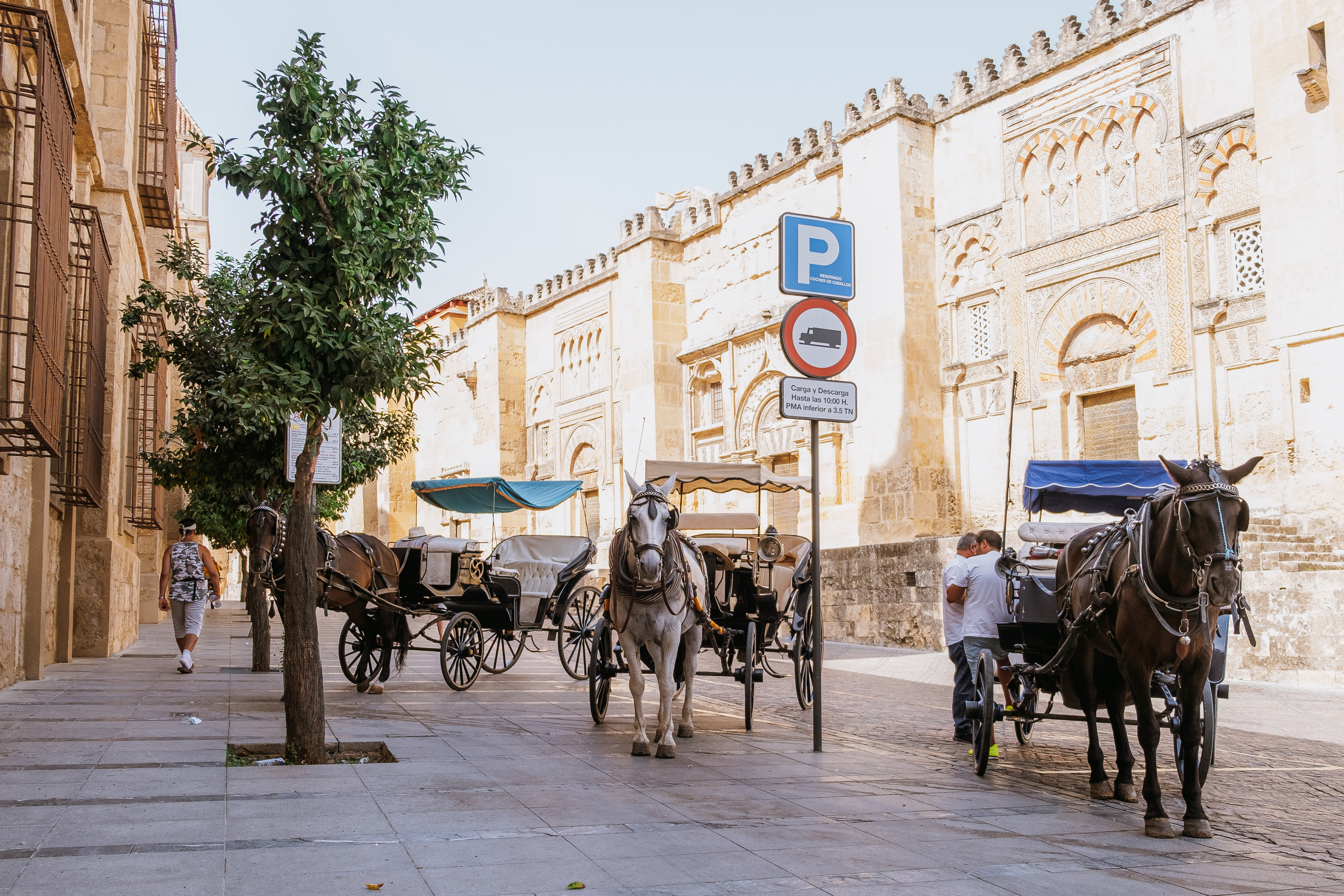 Córdoba (Кордова, Кордоба)