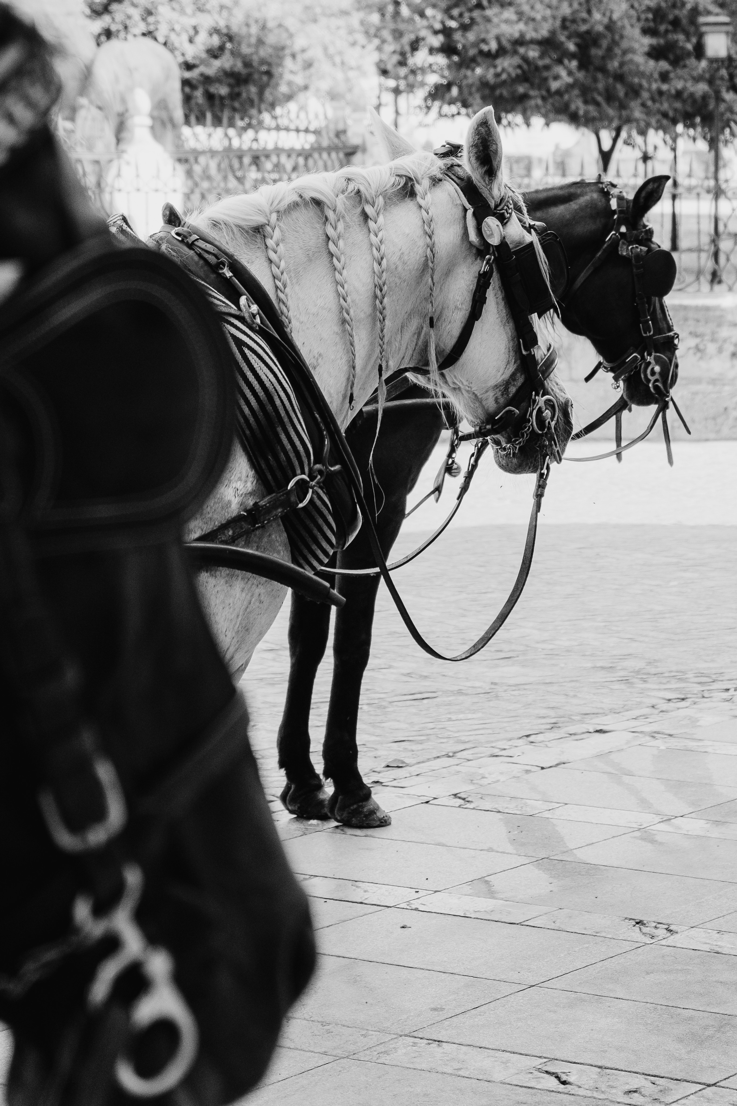 Córdoba (Кордова, Кордоба)