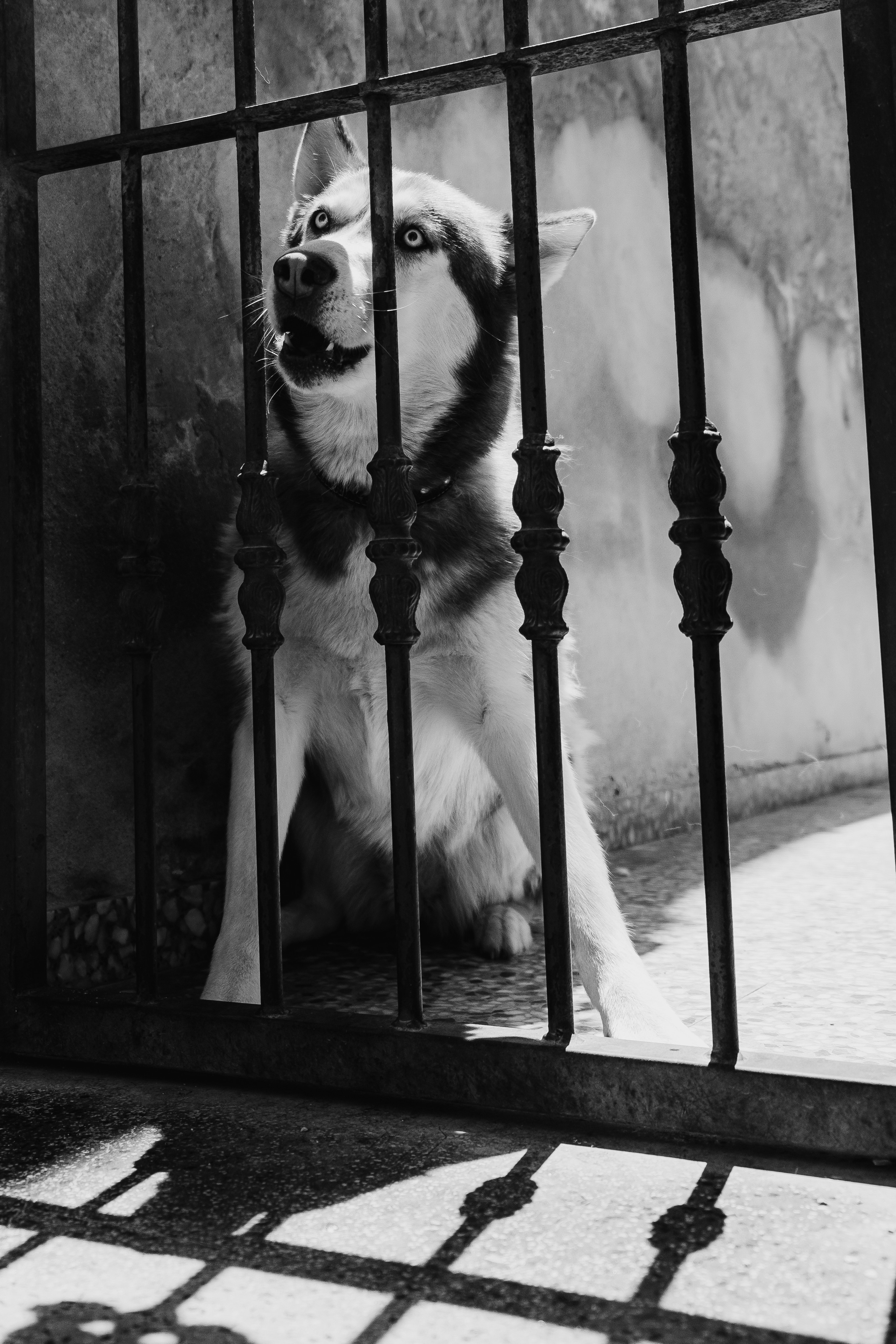 Orihuela (Ориуэла, кат. Oriola)