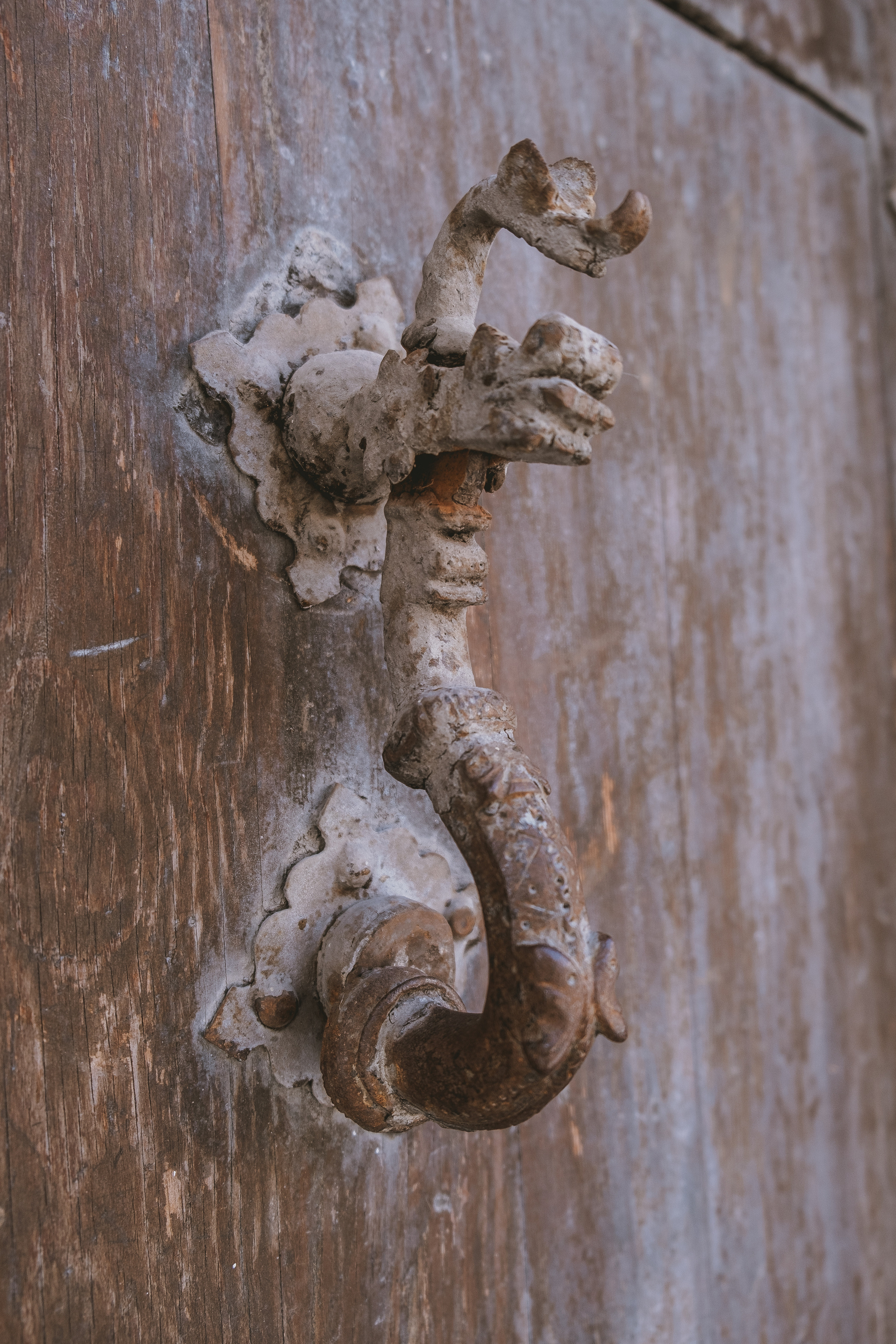 Orihuela (Ориуэла, кат. Oriola)