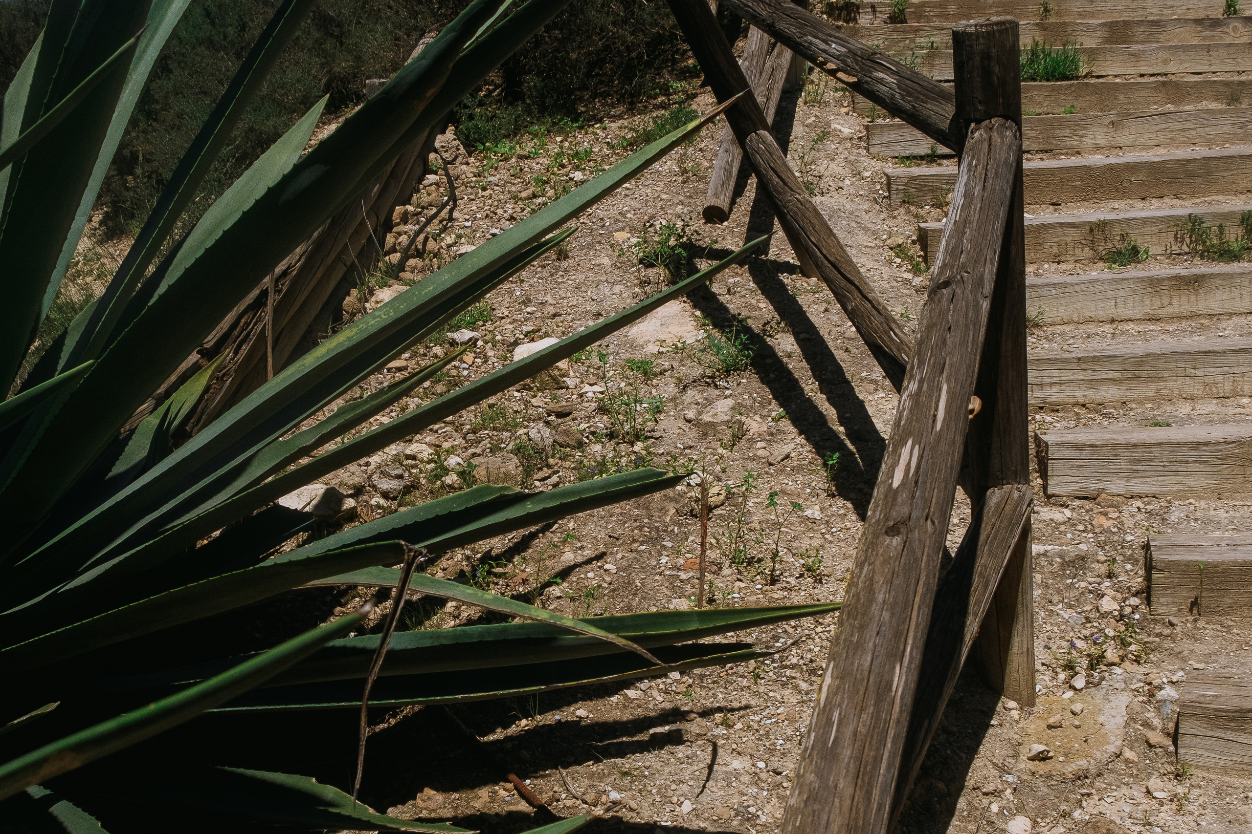 Guardamar del Segura (Гуардамар-дель-Сегура)