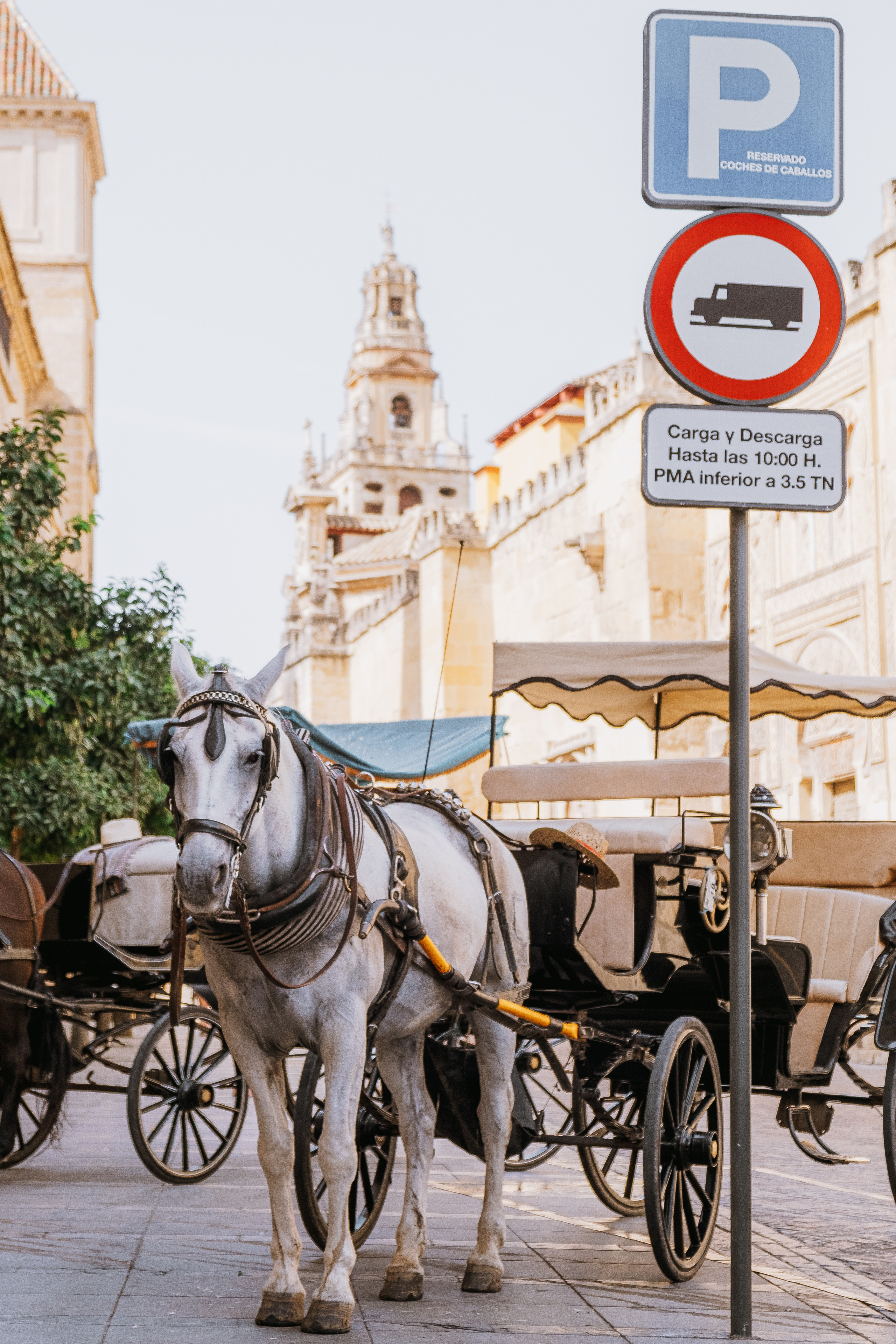 Córdoba (Кордова, Кордоба)