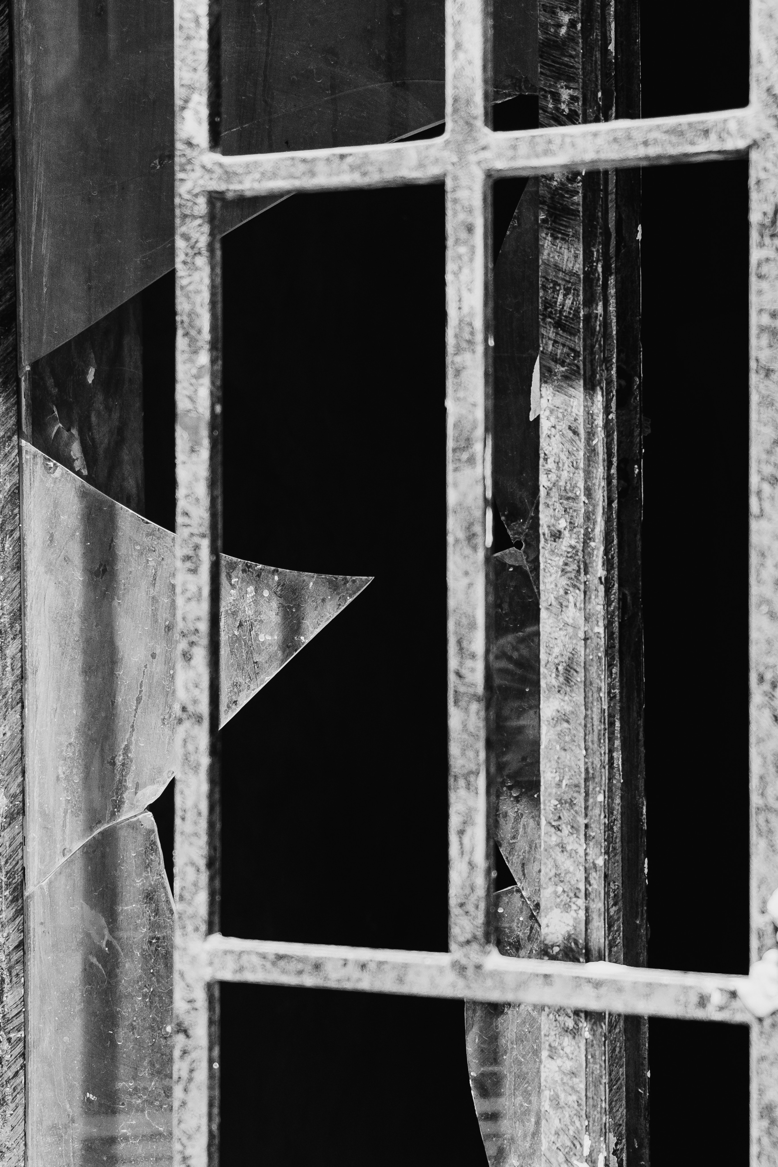 Orihuela (Ориуэла, кат. Oriola)