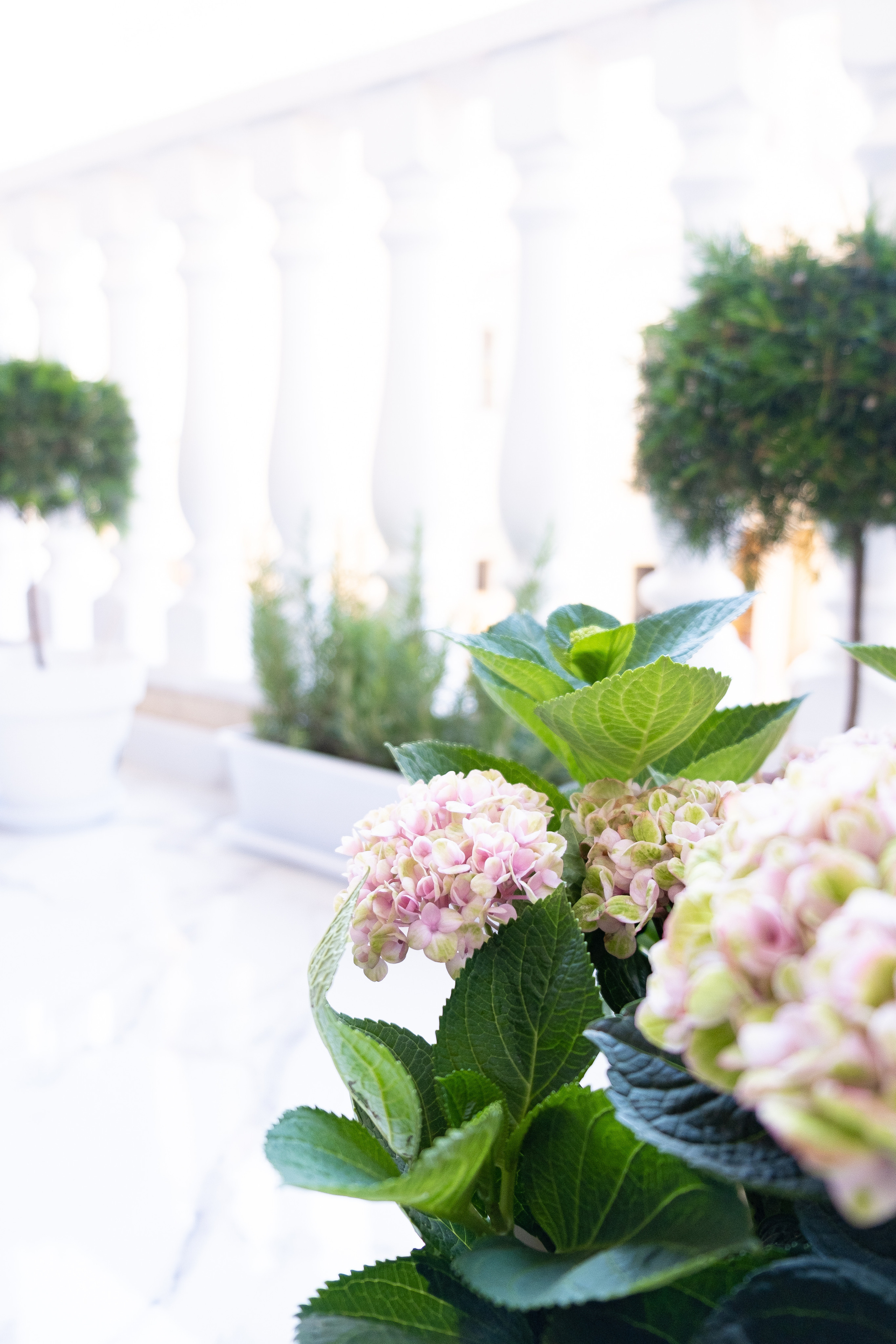 Interior photography of apartments in Torrevieja