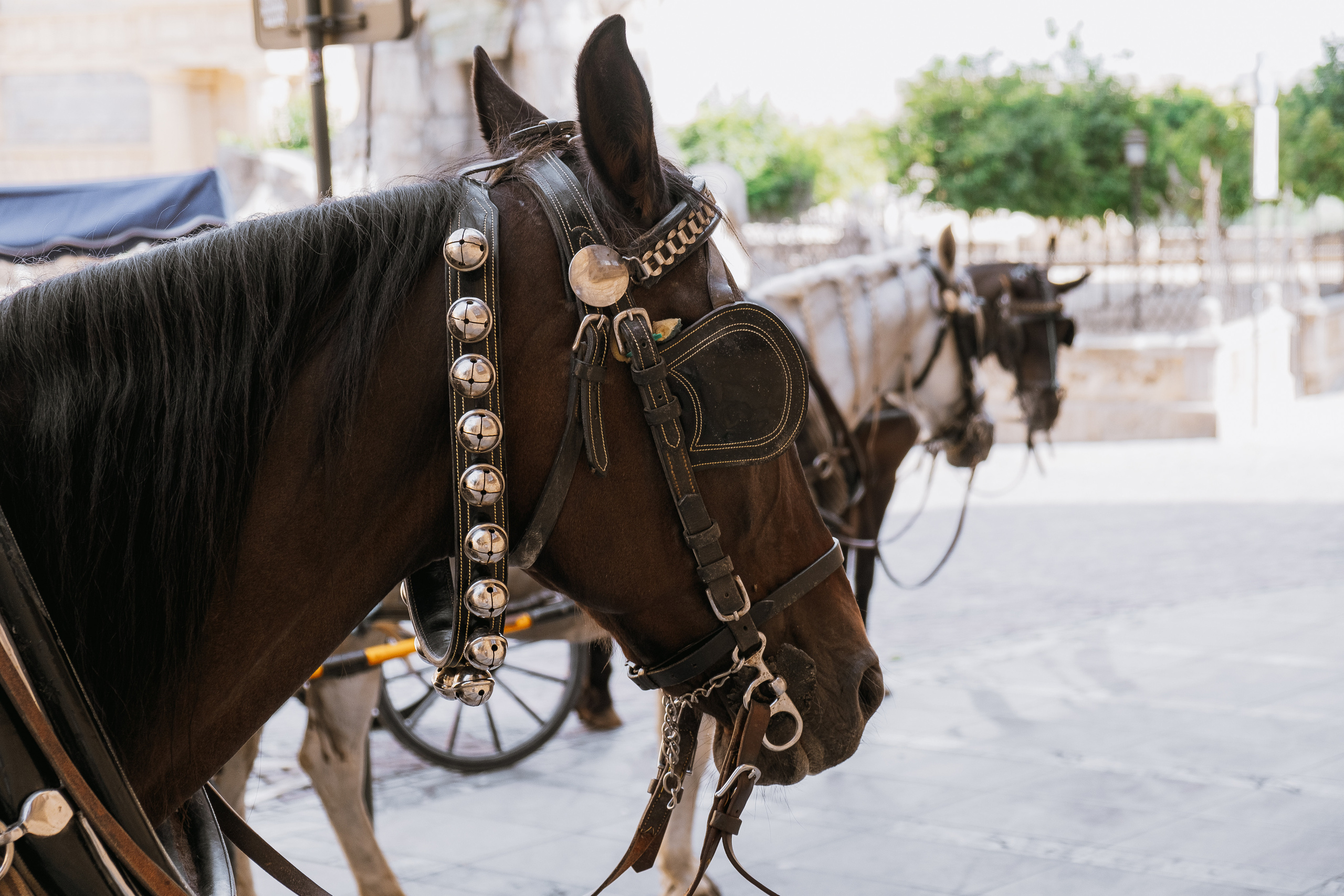 Córdoba (Кордова, Кордоба)