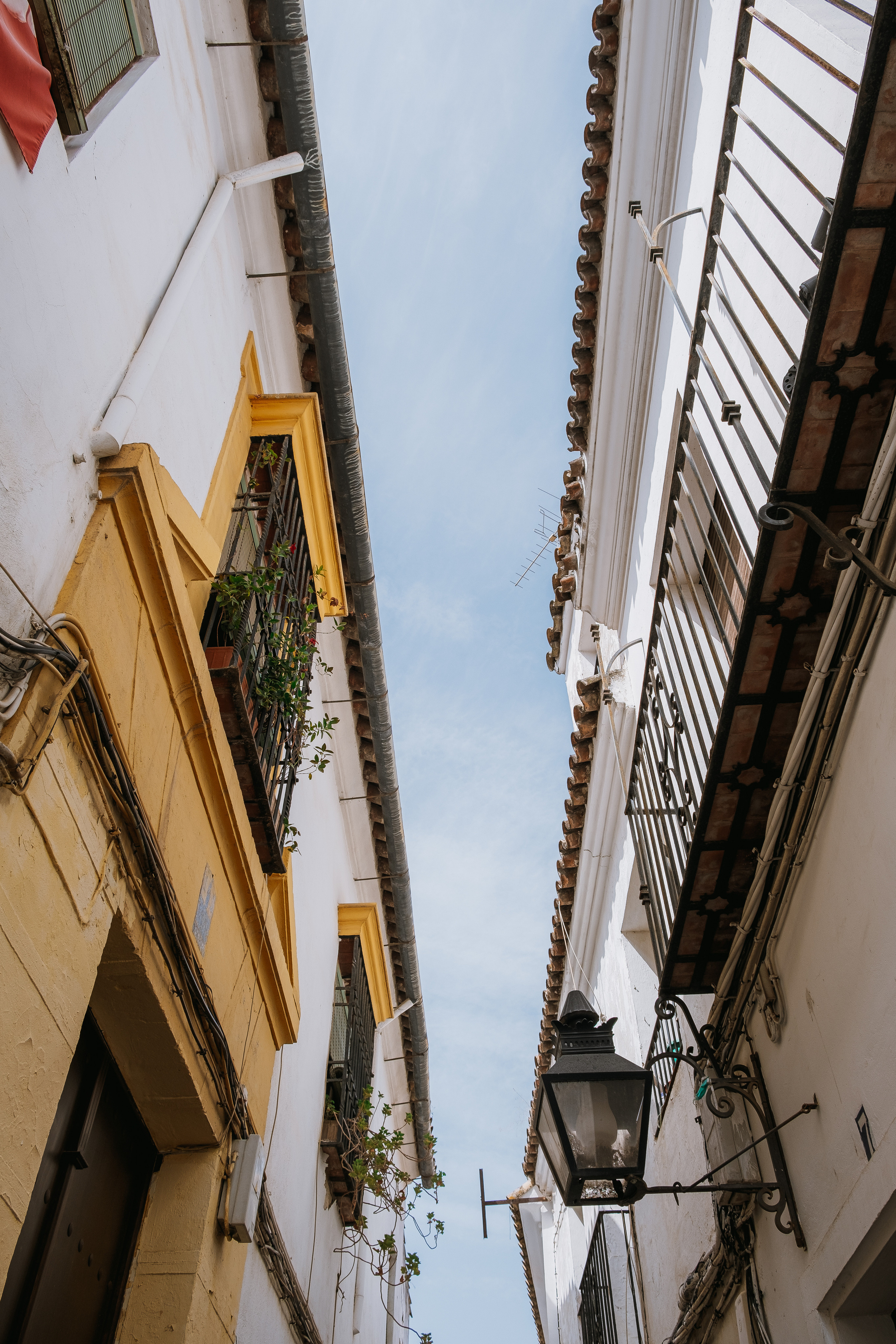 Córdoba (Кордова, Кордоба)