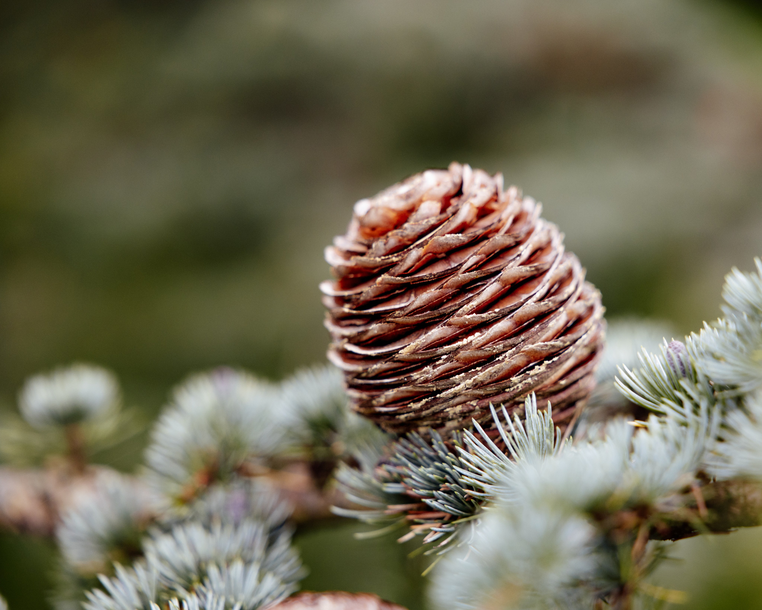 Luxury Wedding Photographer in London | Documentary & Editorial StyleElegant Editorial Wedding Photography – Candid & Timeless Moments, Authentic Wedding Storytelling – Documentary & Editorial Photographer, Cinematic & Refined Wedding Photos – Luxury Wedding Photography, Destination Wedding Photographer – Paris, London, France, Latvia, UK & Worldwide, Natural & Unscripted Wedding Moments – Documentary Wedding Photography, Fine Art Wedding Photography – Editorial Wedding Aesthetic, Luxury Wedding Photos with Soft, Timeless Edits | Editorial Touch, Bespoke Wedding Photography – Candid & Authentic Love Stories, Elegant & Romantic Wedding Photography – Stylish & Timeless Memories, LIGA KALNINA Documentary editorial wedding photography