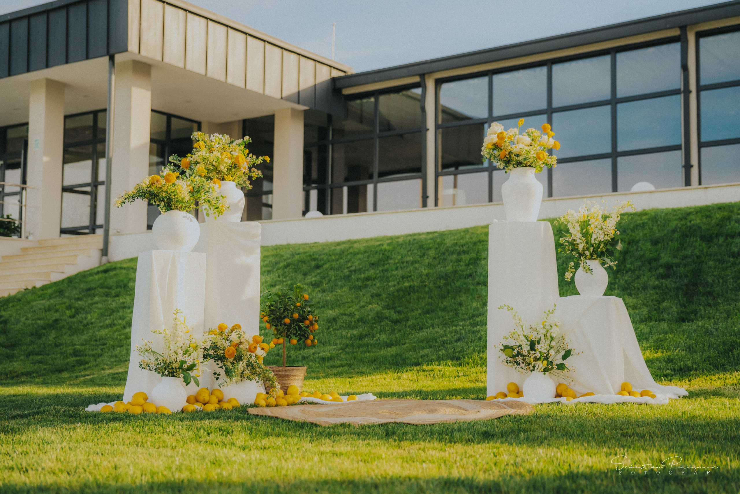 Love & Lemons. Sebastian Purusniuc Fotograf - Iasi