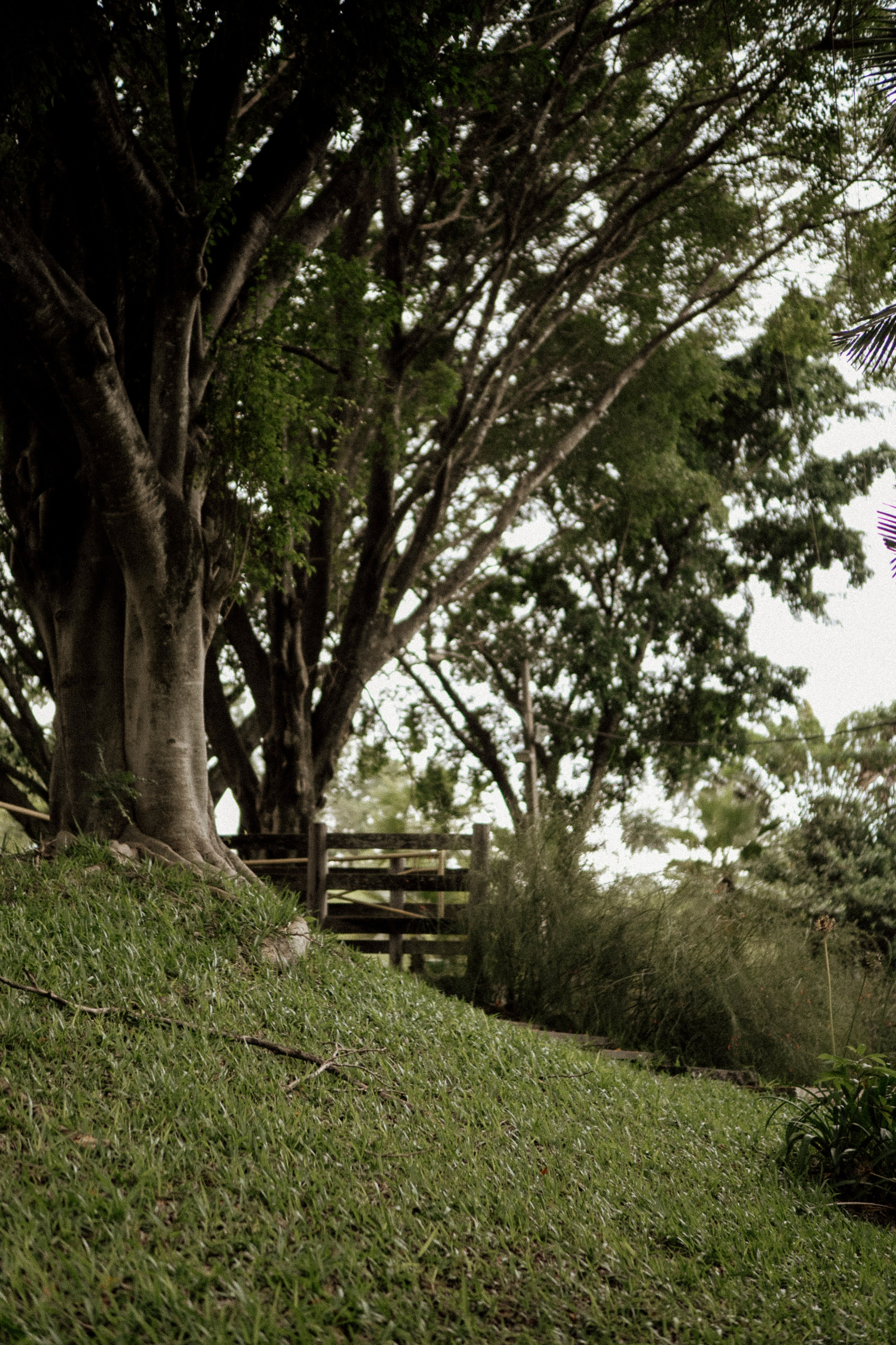 Marcella & Breno. Congiu Wedding