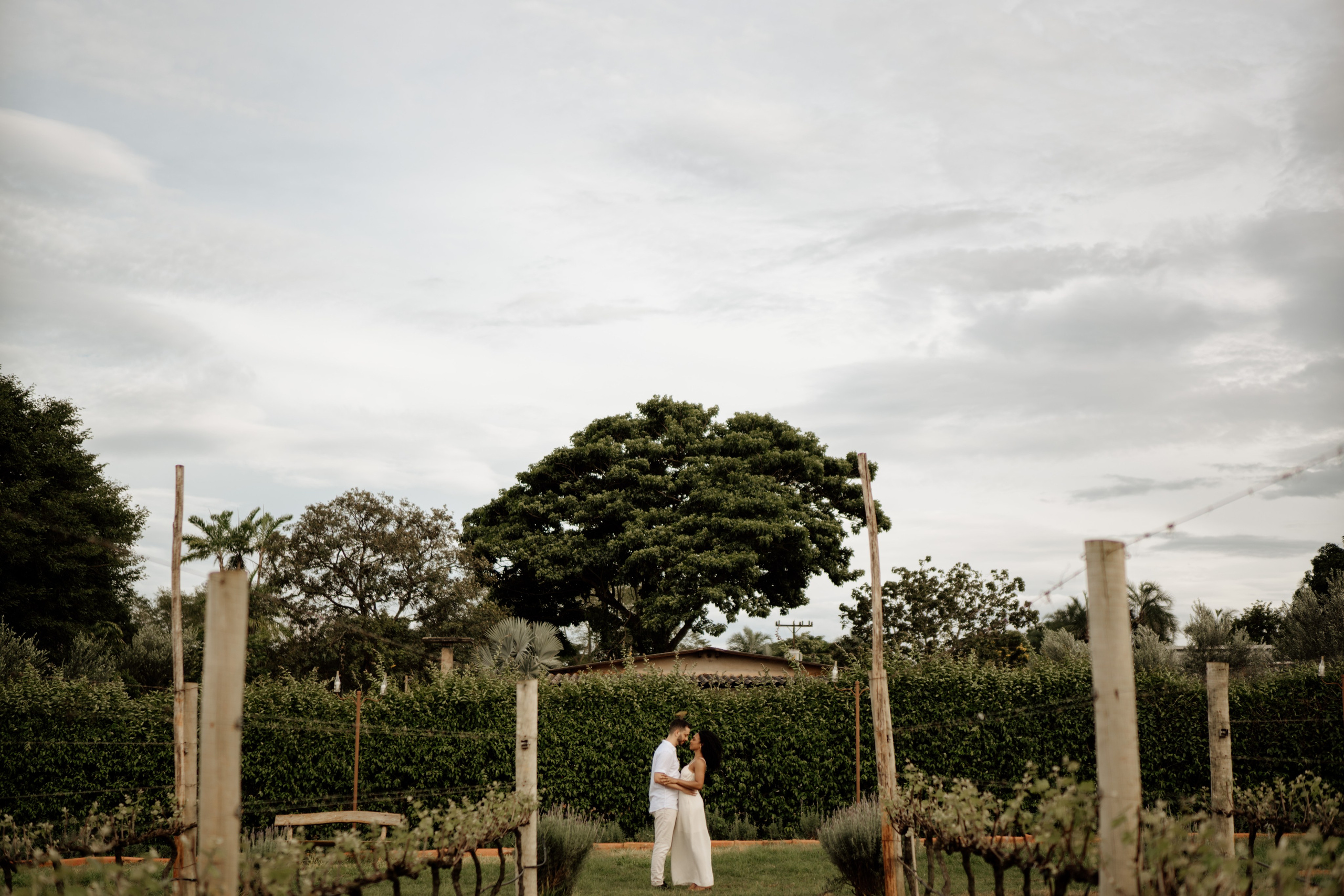 Paloma & Nikolas. Congiu Wedding