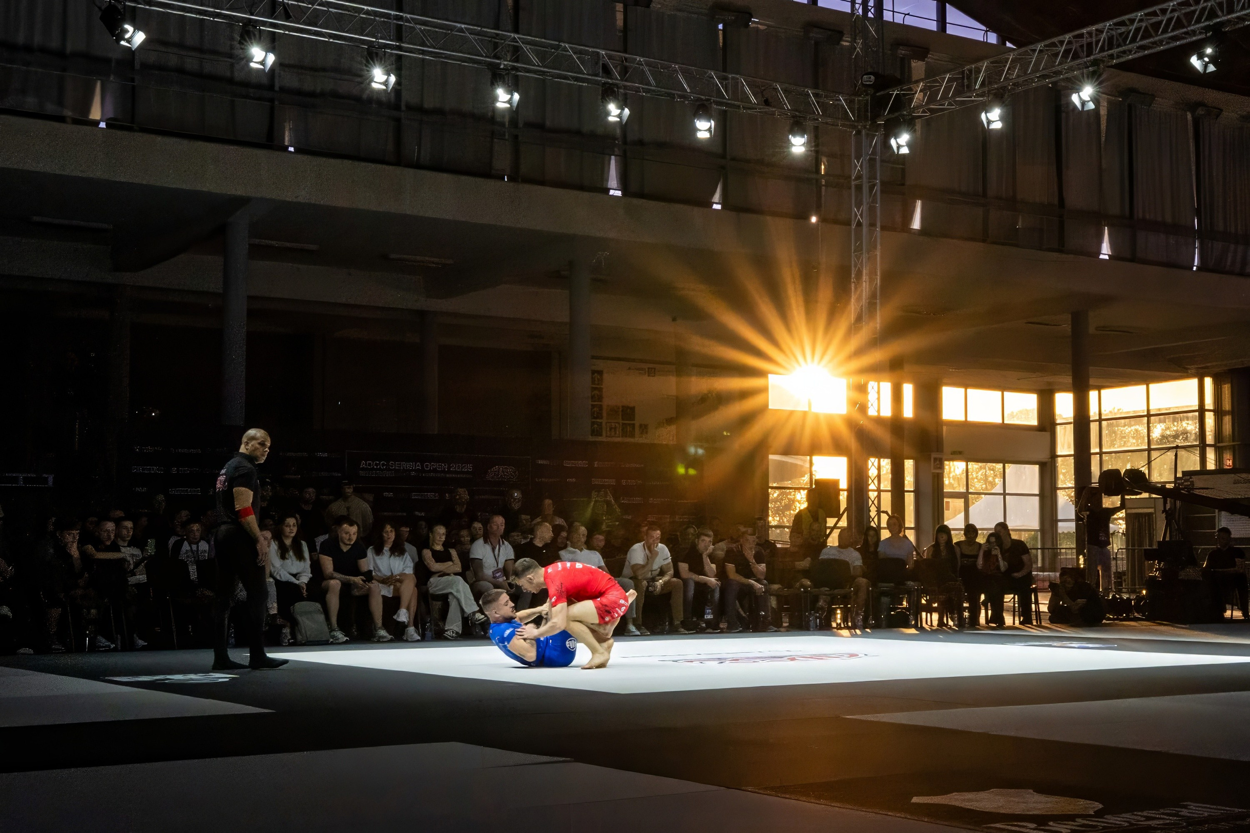 Sport. Wedding photography