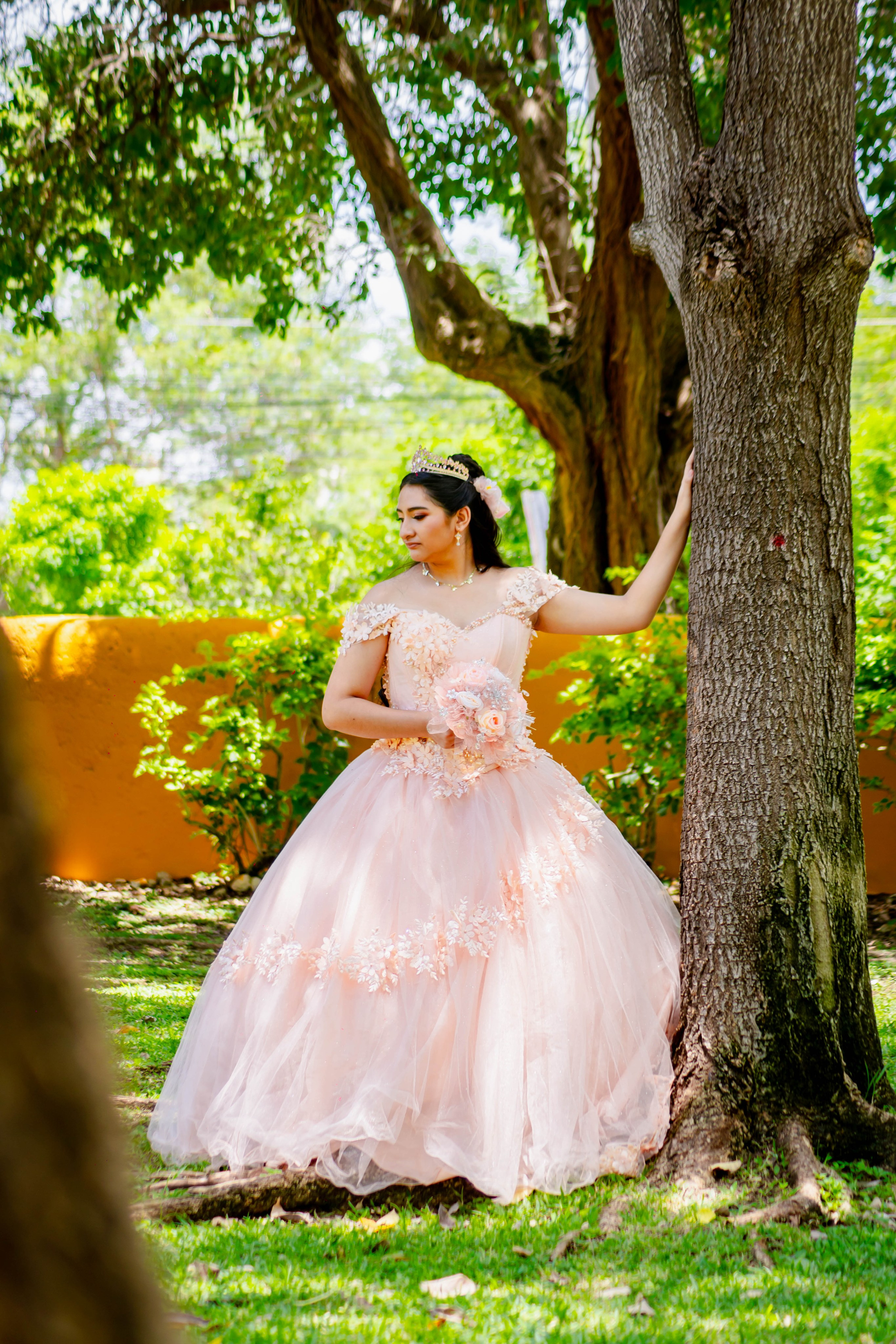 Alondra. Fotógrafo "dD" Didier Dzul