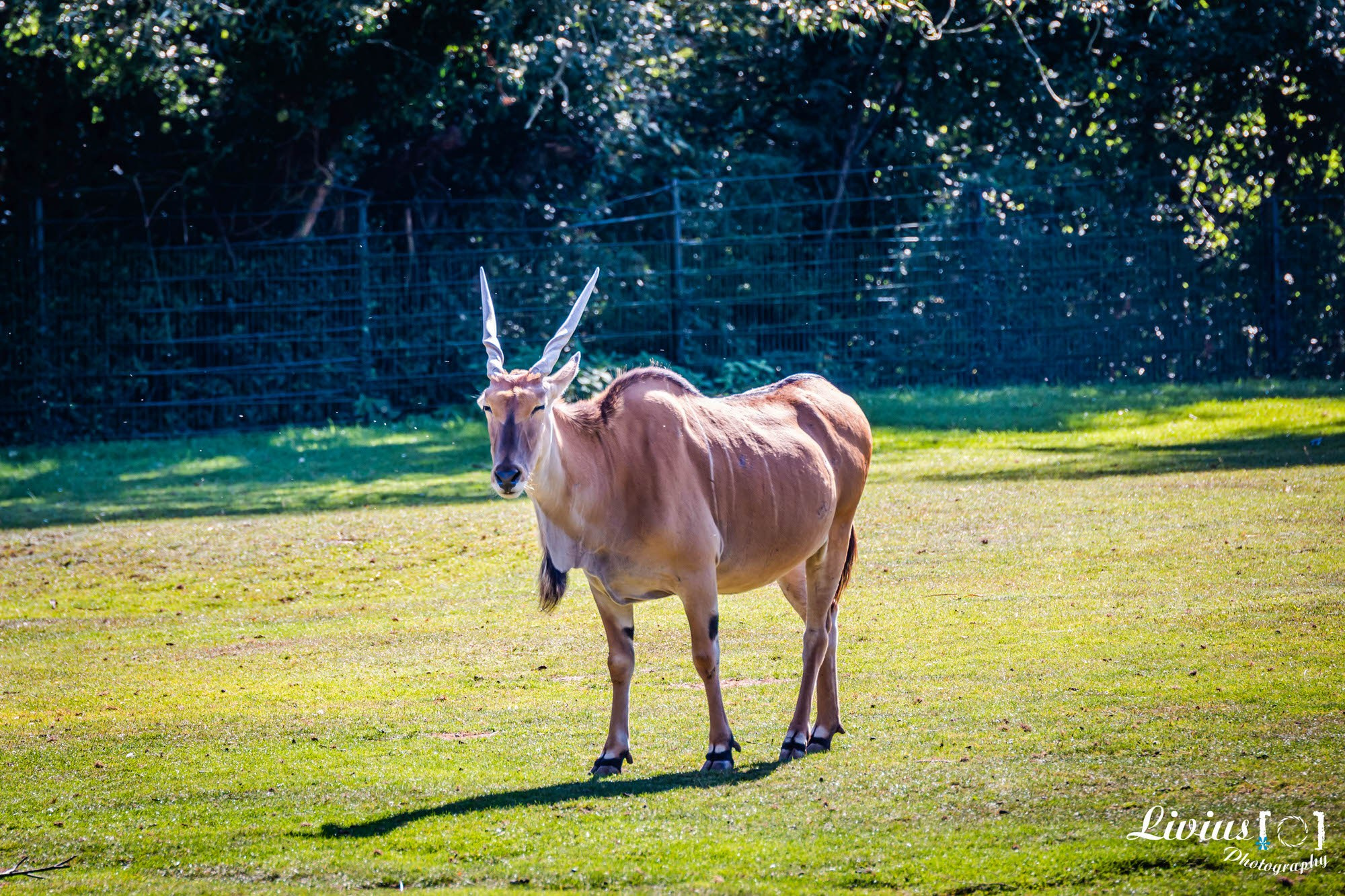 Tierpark Nürnberg. FOTO KREATIV