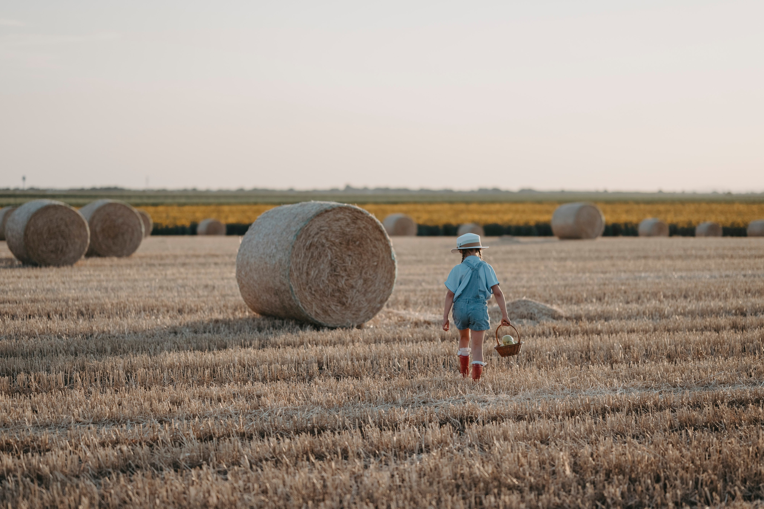 Letnje fotografisanje u polju suncokreta i sena. Deciji i porodicni fotograf u Beogradu Oksana Skendzic