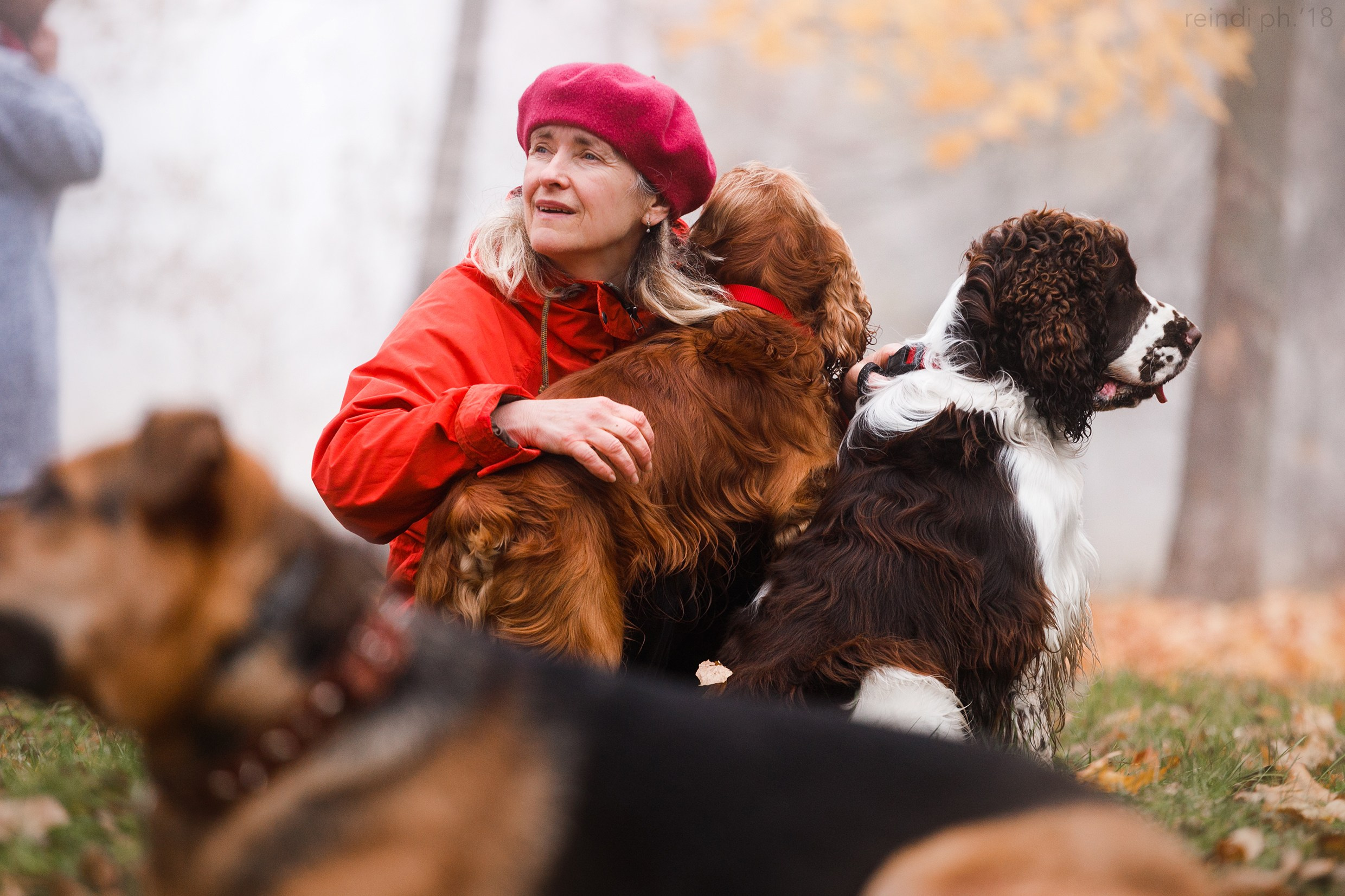 Frisbee and dog puller championship | autumn. Kaja | fotograf we Wrocławiu | ludzie i psy