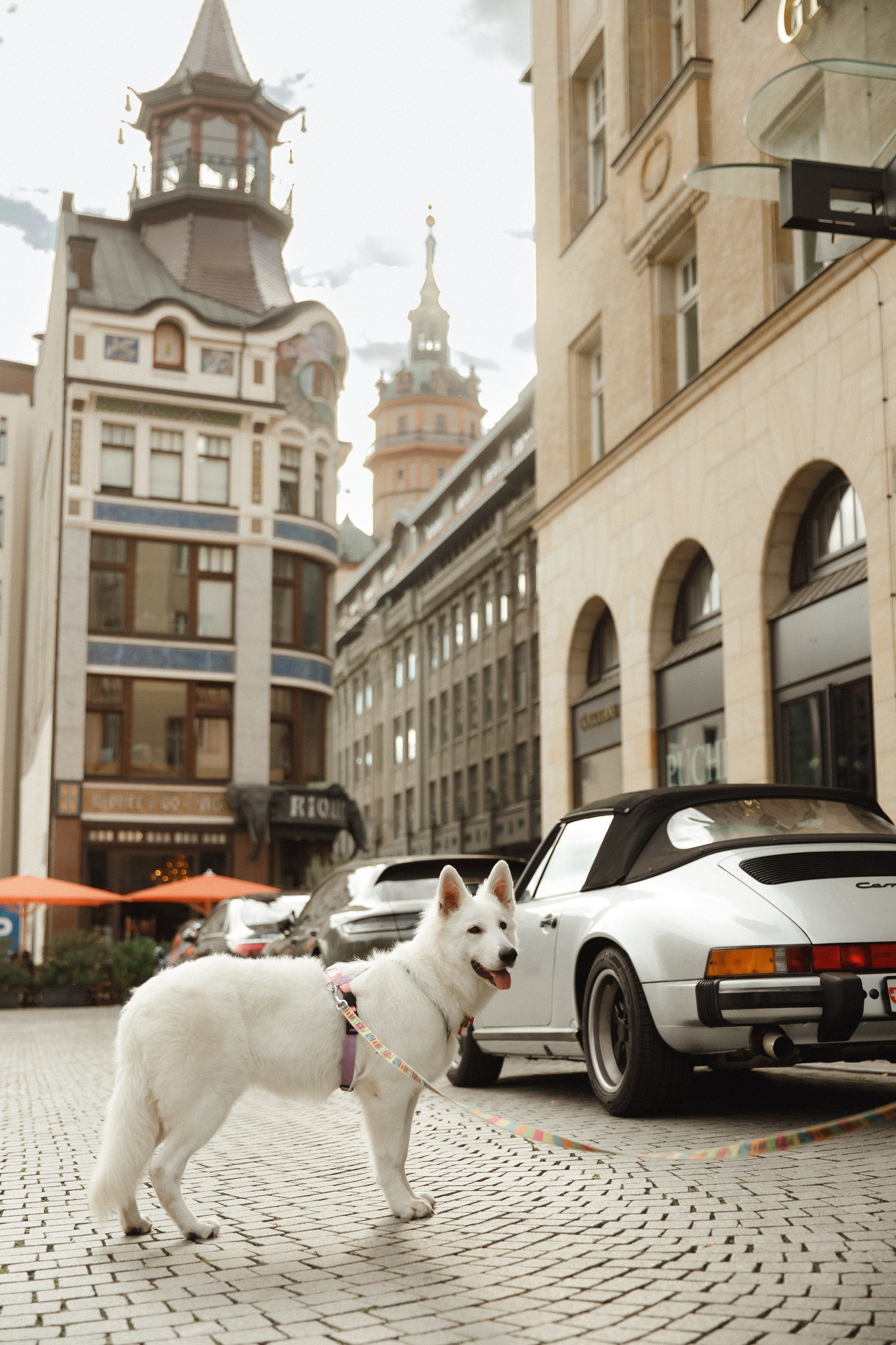 Astra in Leipzig. Kaja | fotograf we Wrocławiu | ludzie i psy