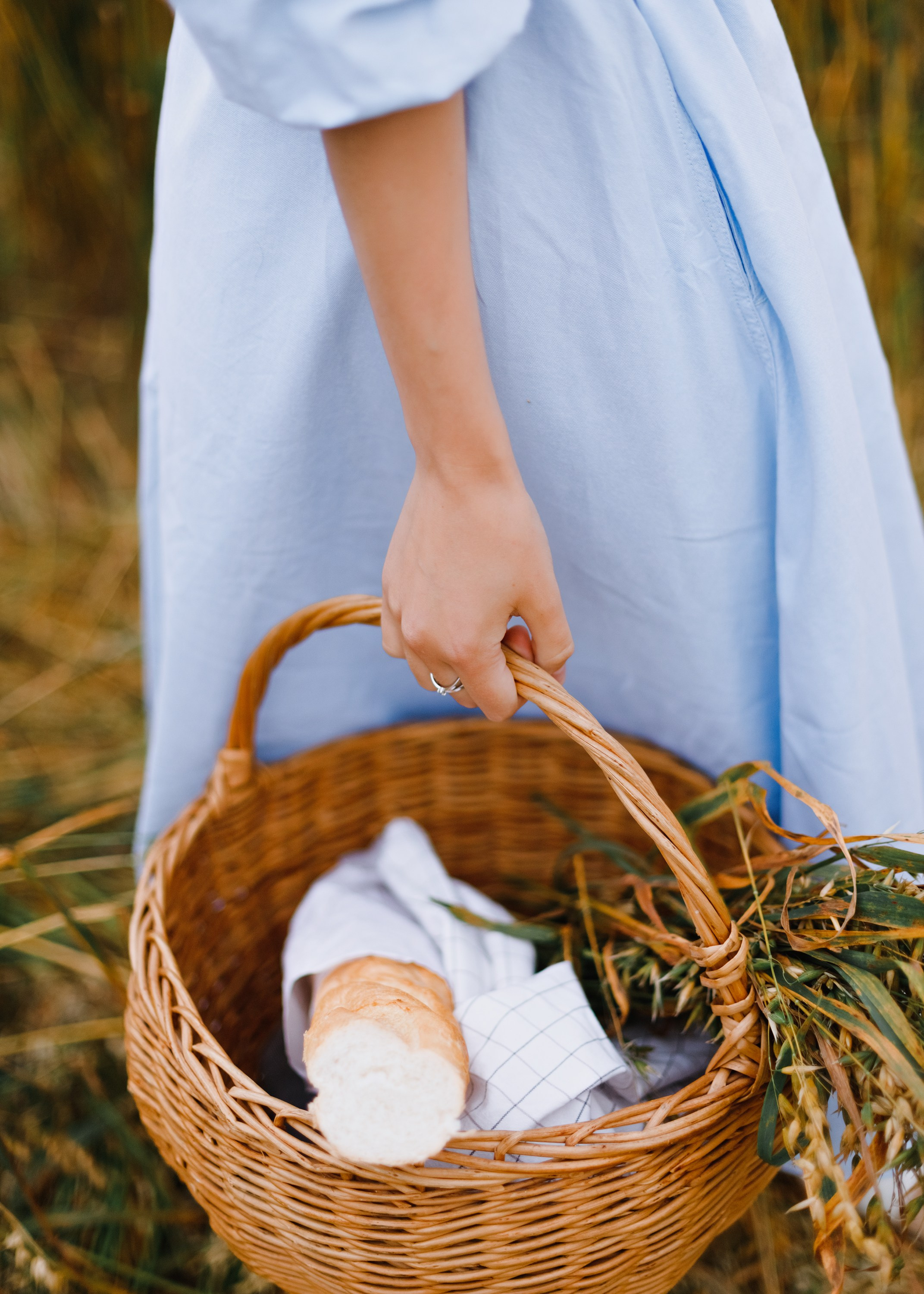 Katya | tenderness in the field. Kaja | fotograf psów we Wrocławiu