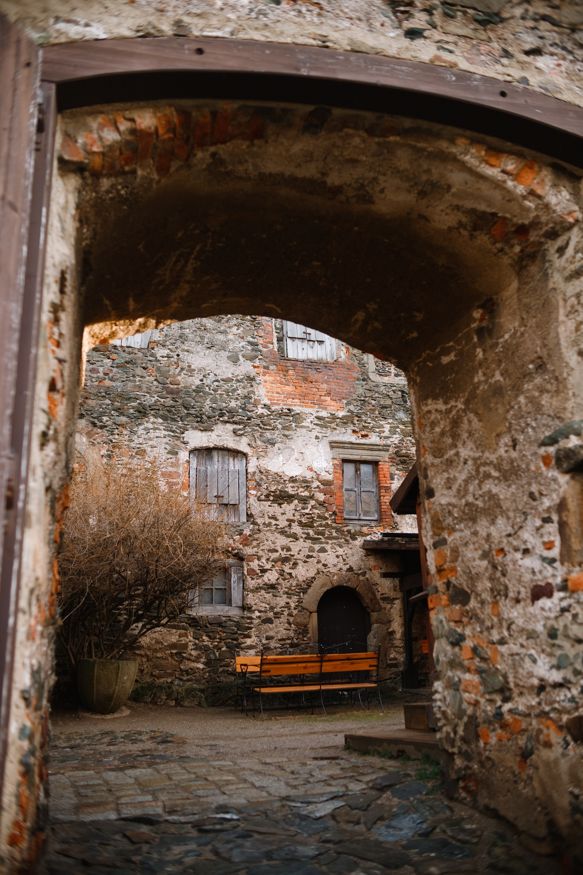 Bolków castle. Kaja | fotograf we Wrocławiu | ludzie i psy