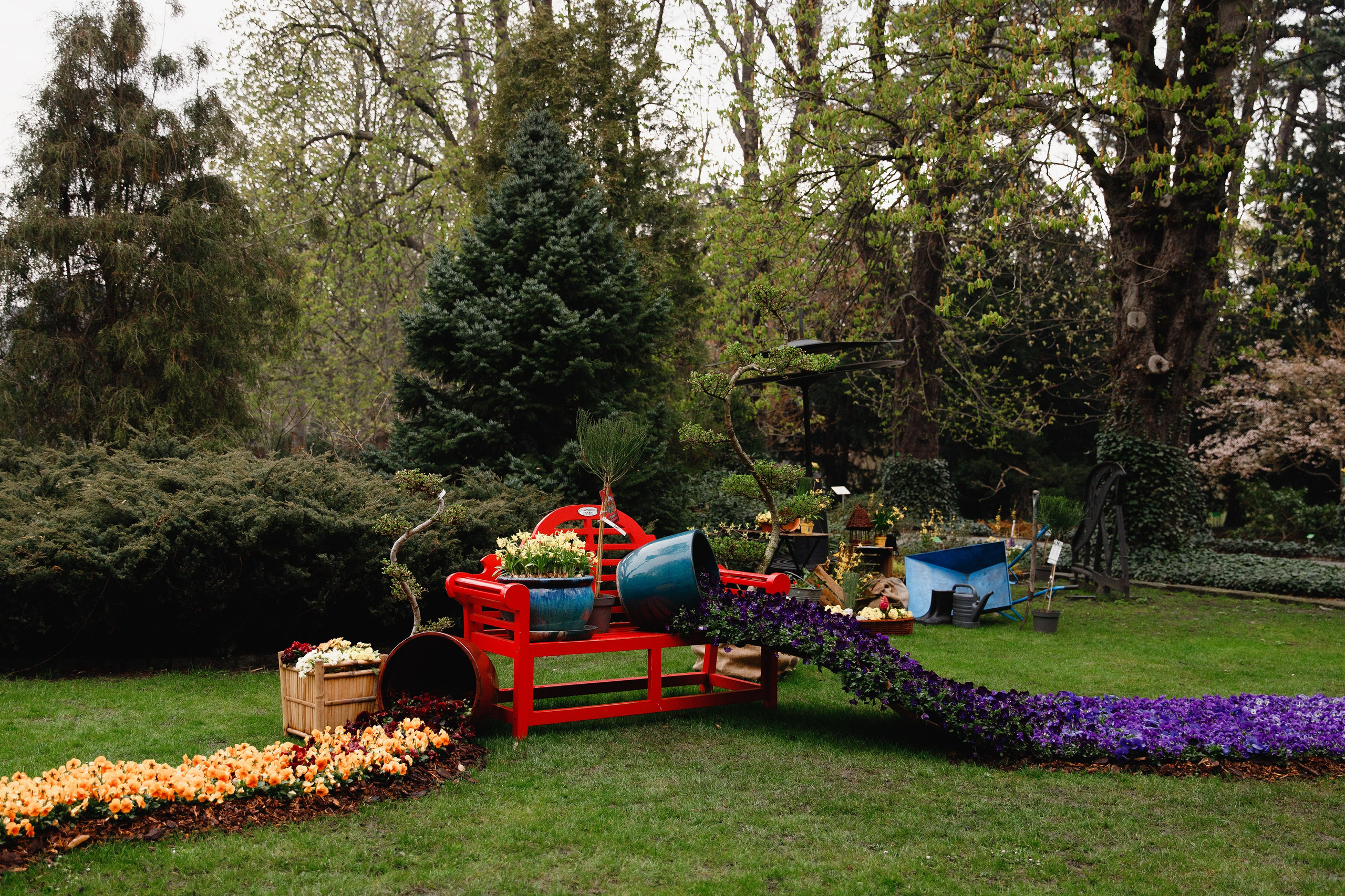 Botanical garden in Wroclaw. Kaja | fotograf we Wrocławiu | ludzie i psy