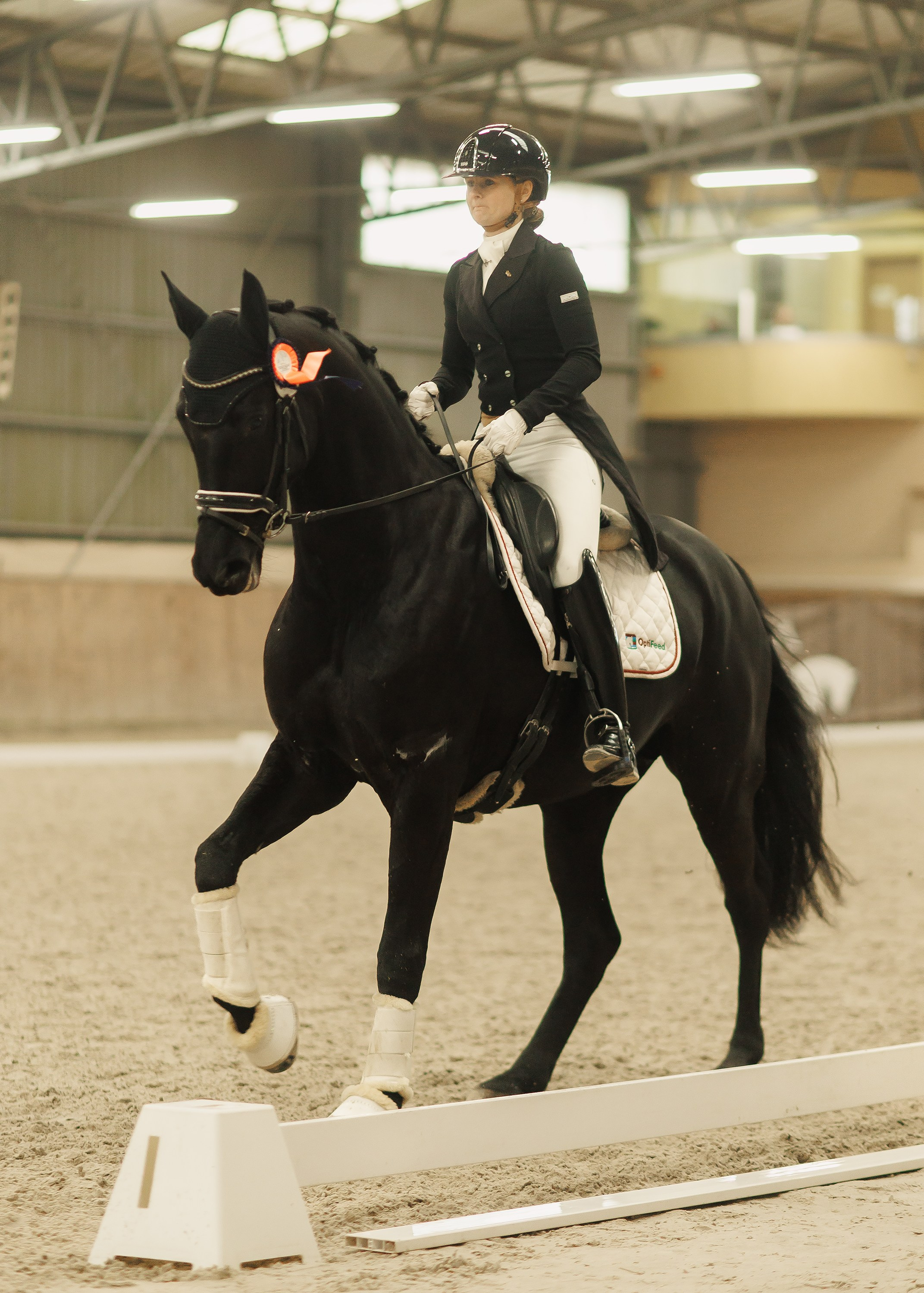 Partynice dressage \ feb'25. Kaja | fotograf we Wrocławiu | ludzie i psy