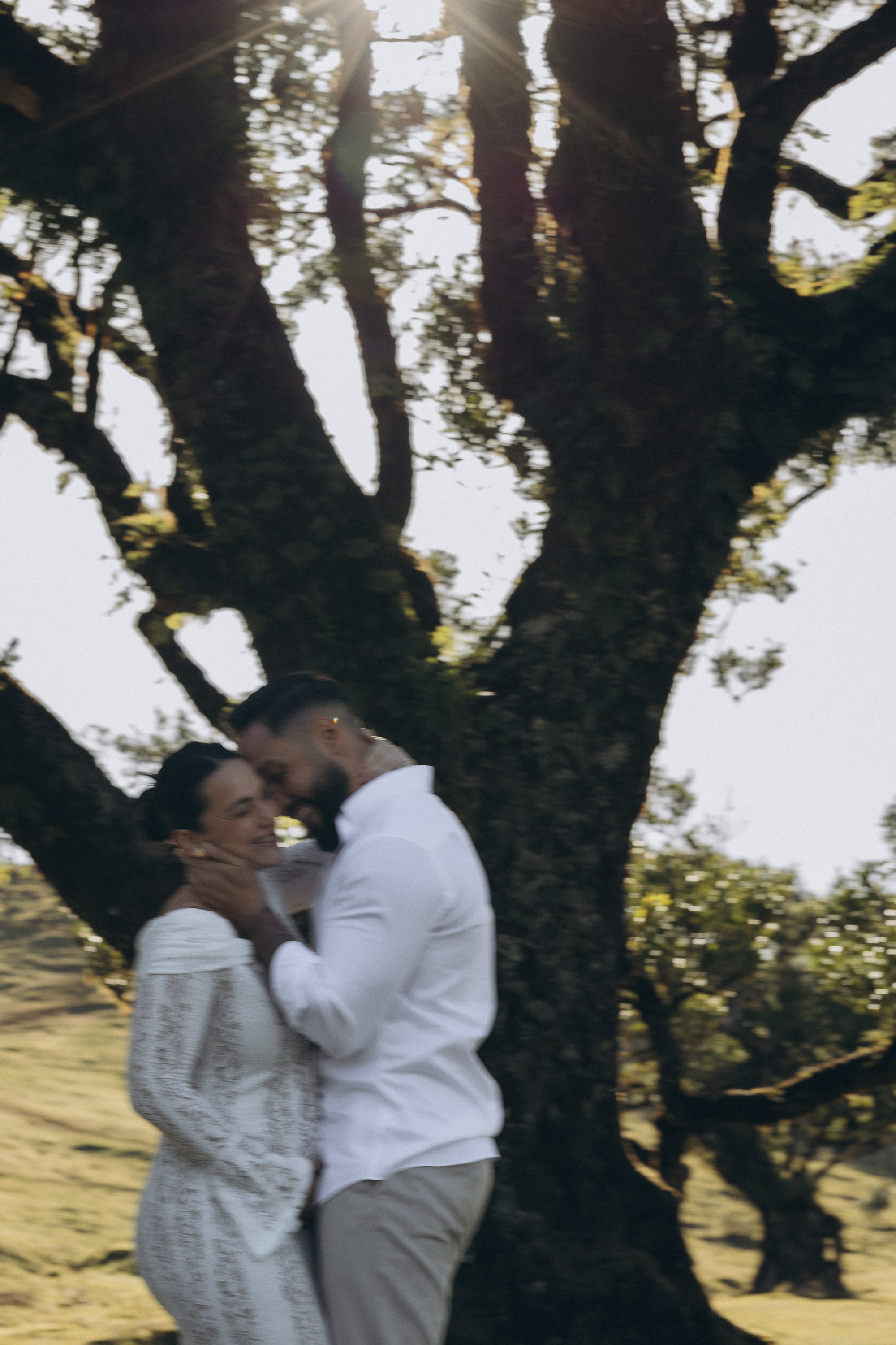 Maternity Photoshoot at Fanal Forest, Madeira