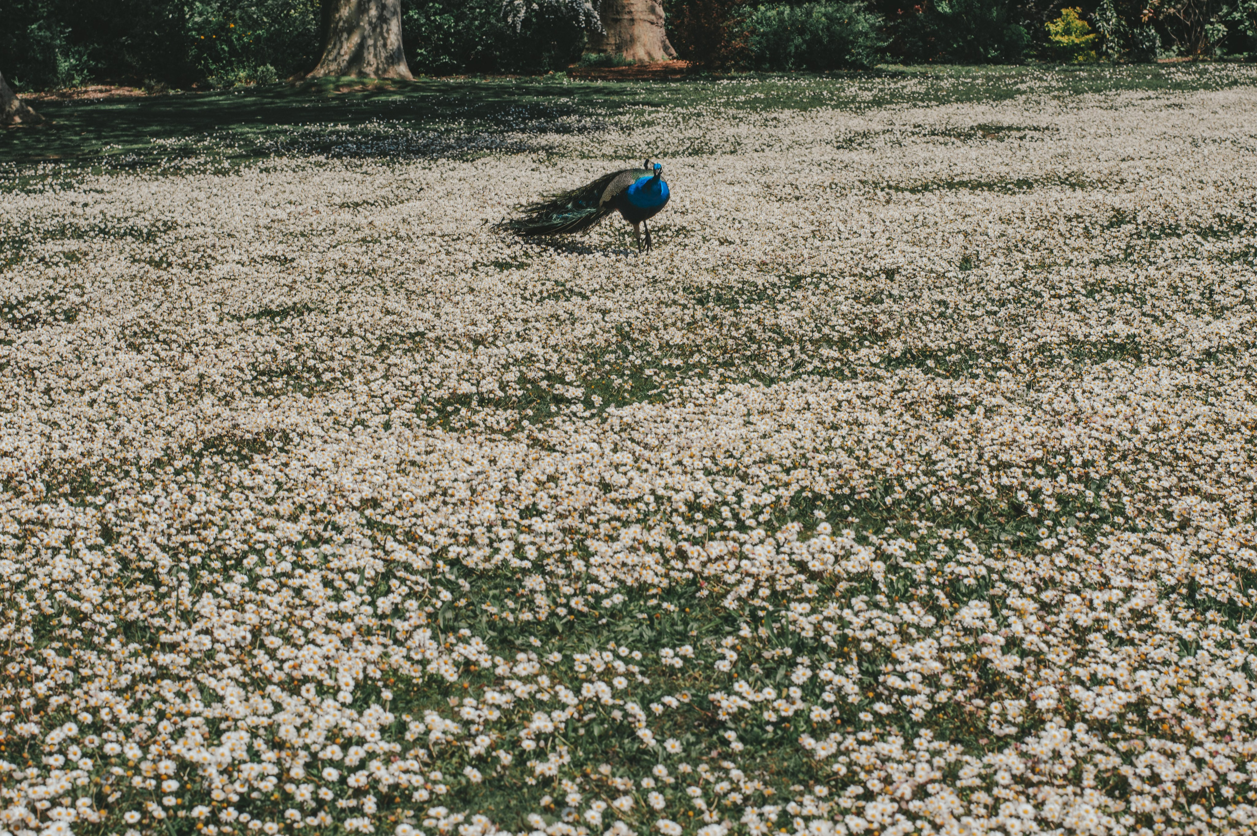 Франция. Анастасия Благова — Твой фотограф в Малаге 🇪🇸