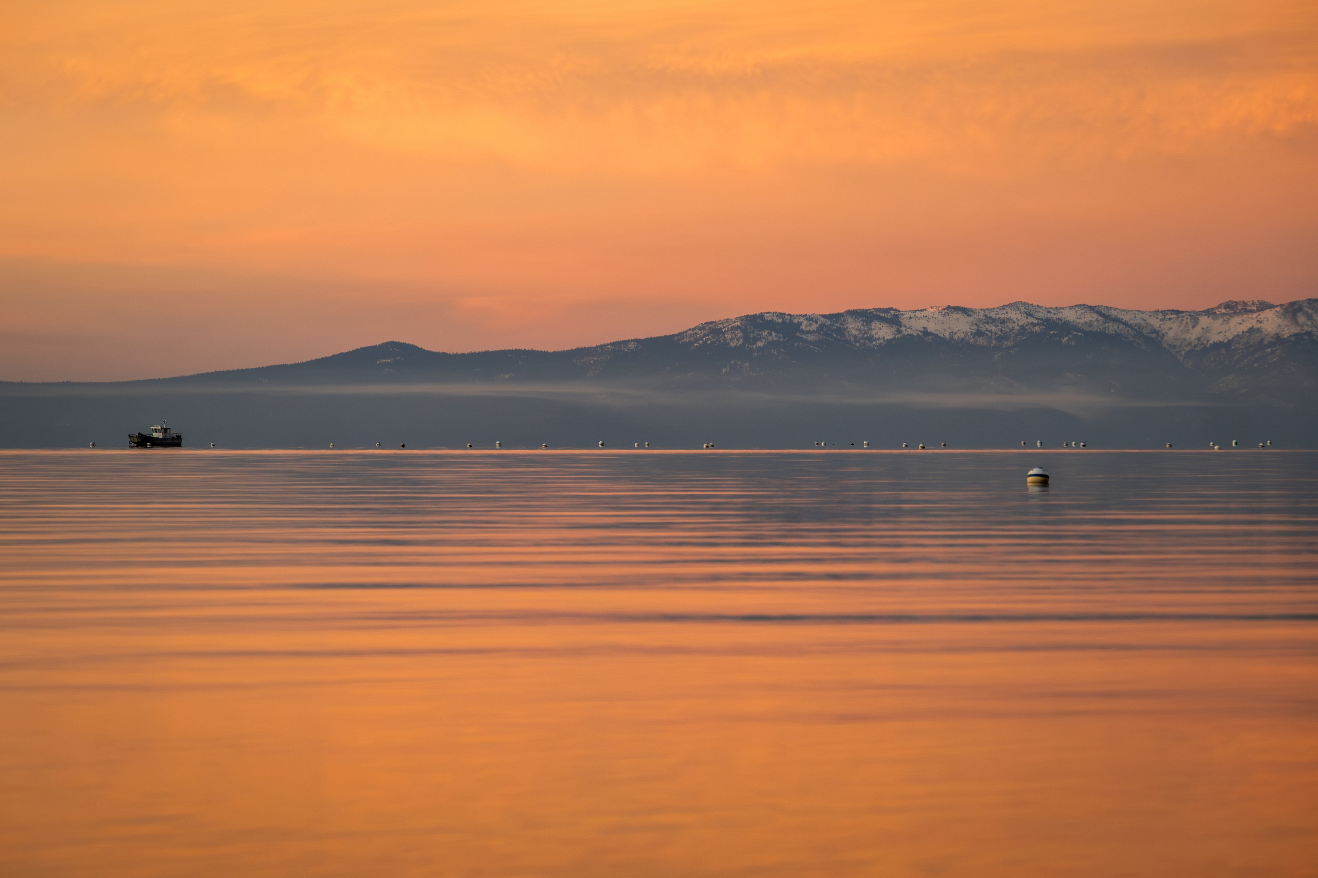 TAHOE. Reportage concert portrait photography in the San Francisco Bay Area