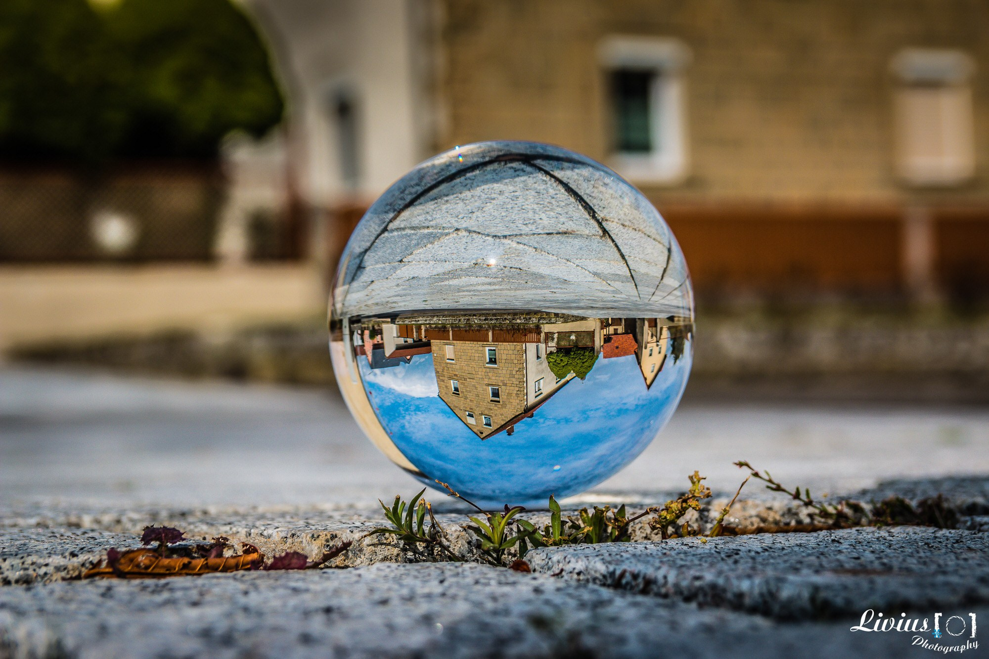 Glaskugelfotos. FOTO KREATIV