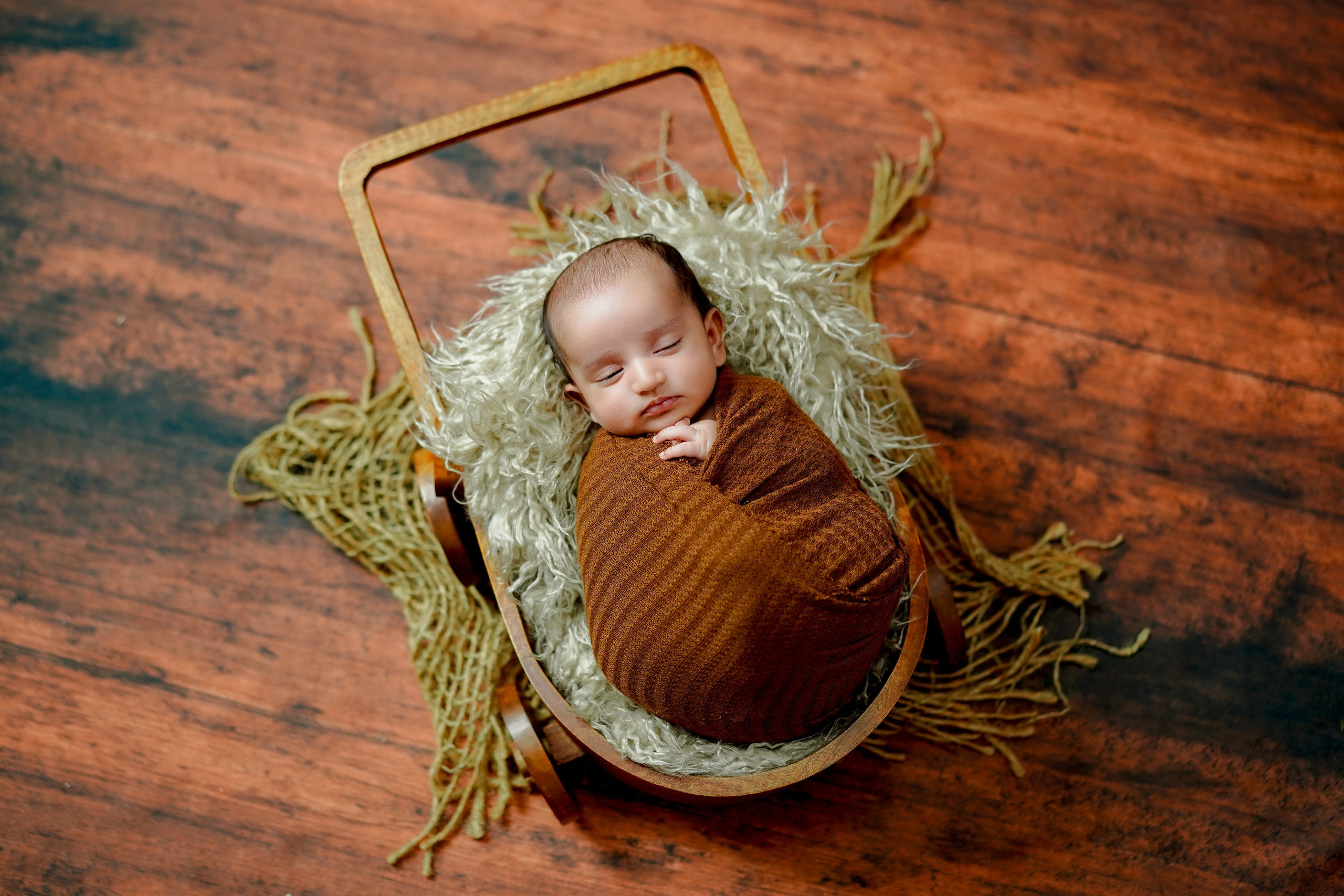 New born. TNF photo & filming