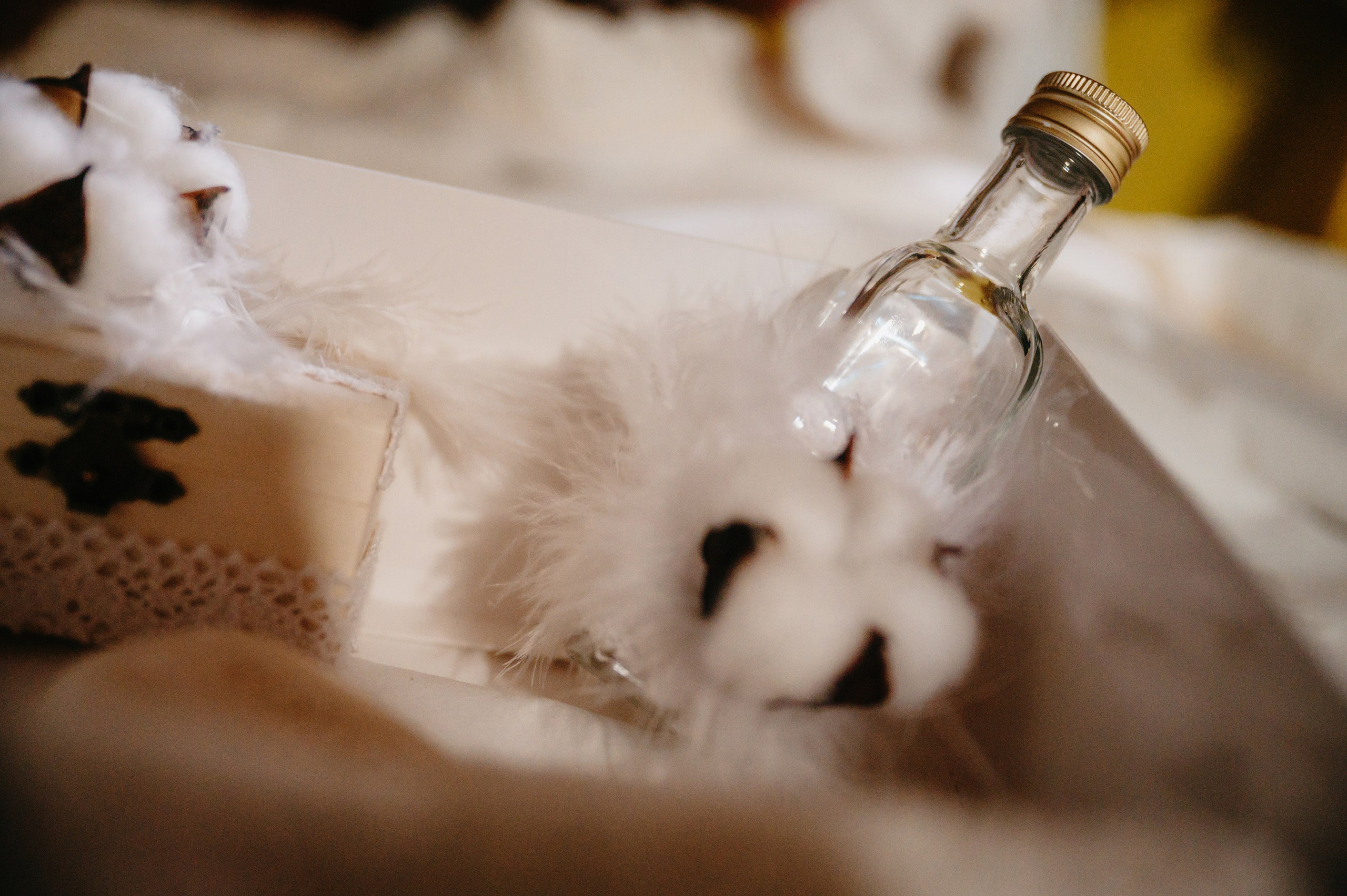 BOTEZ Ana Natasha. Laurentiu Stefan StoryTeller