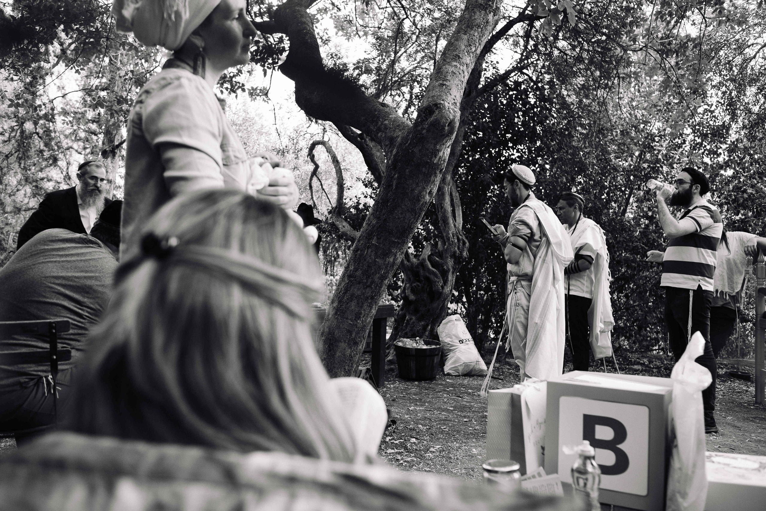 BRIT MILA IN NATURE IN JERUSALEM. Https://shi-photo.com/
