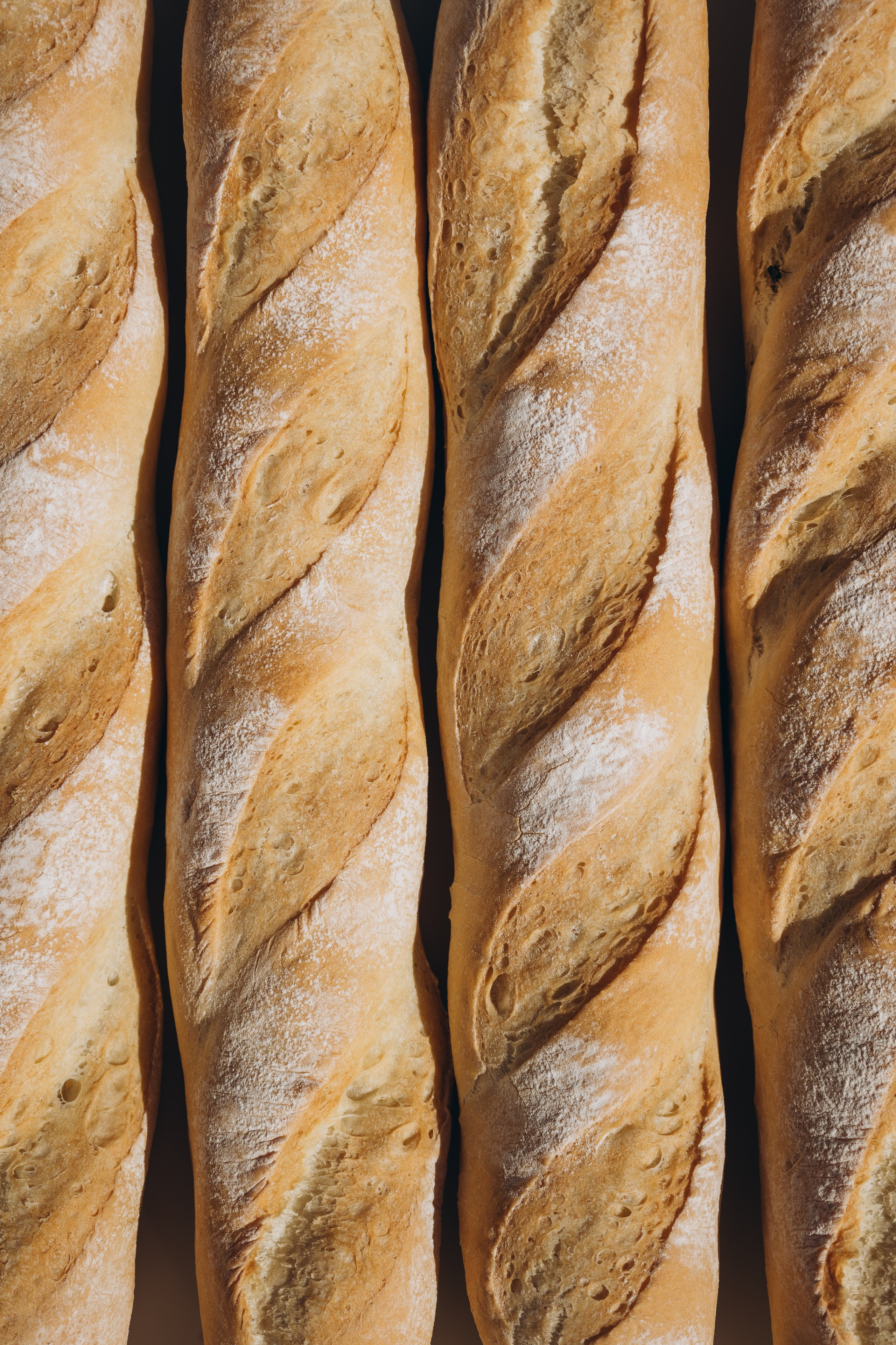Brot Master. Жданова Дарья Фотограф Ташкент