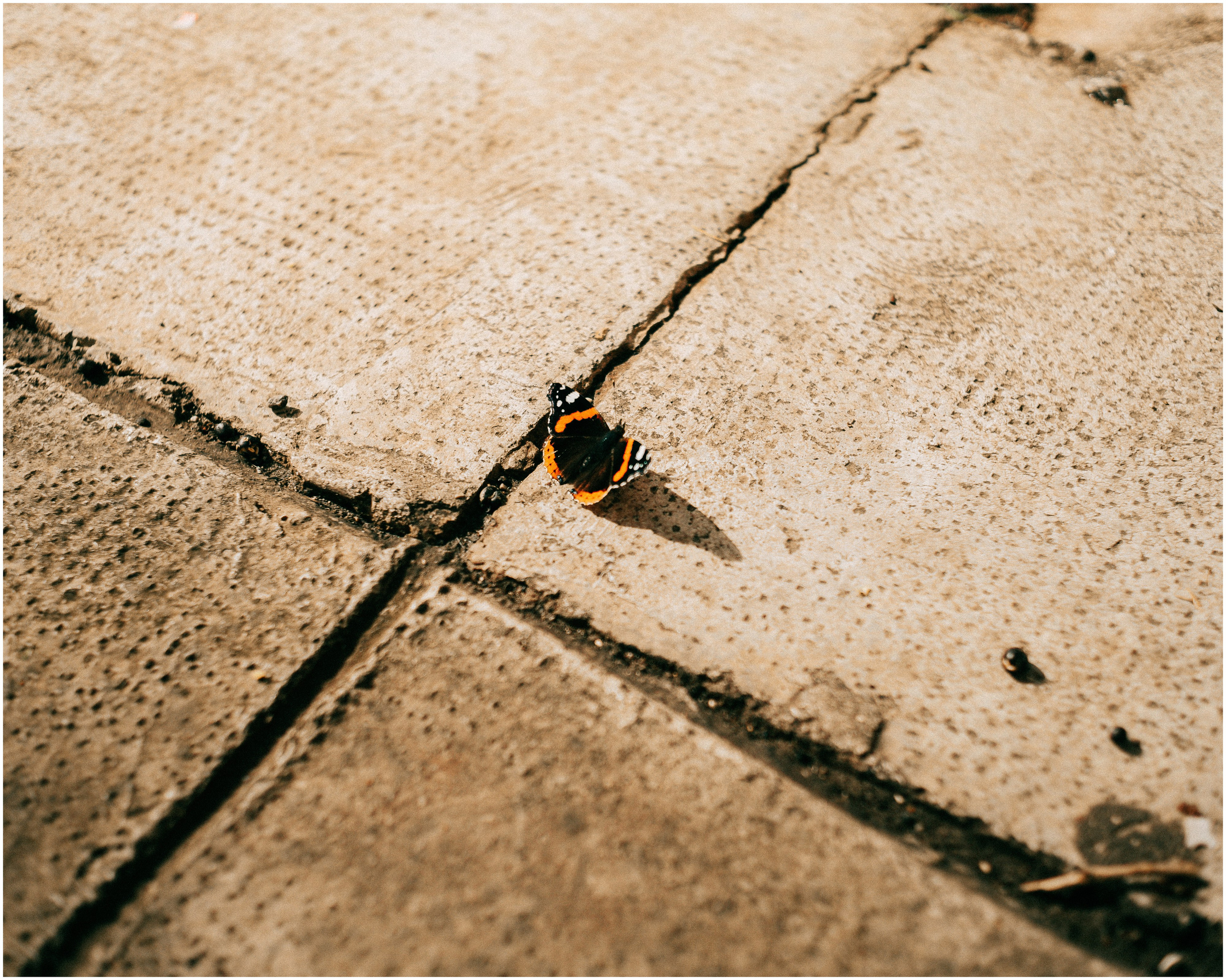 PALERMO. Photographer Inna Mendelson