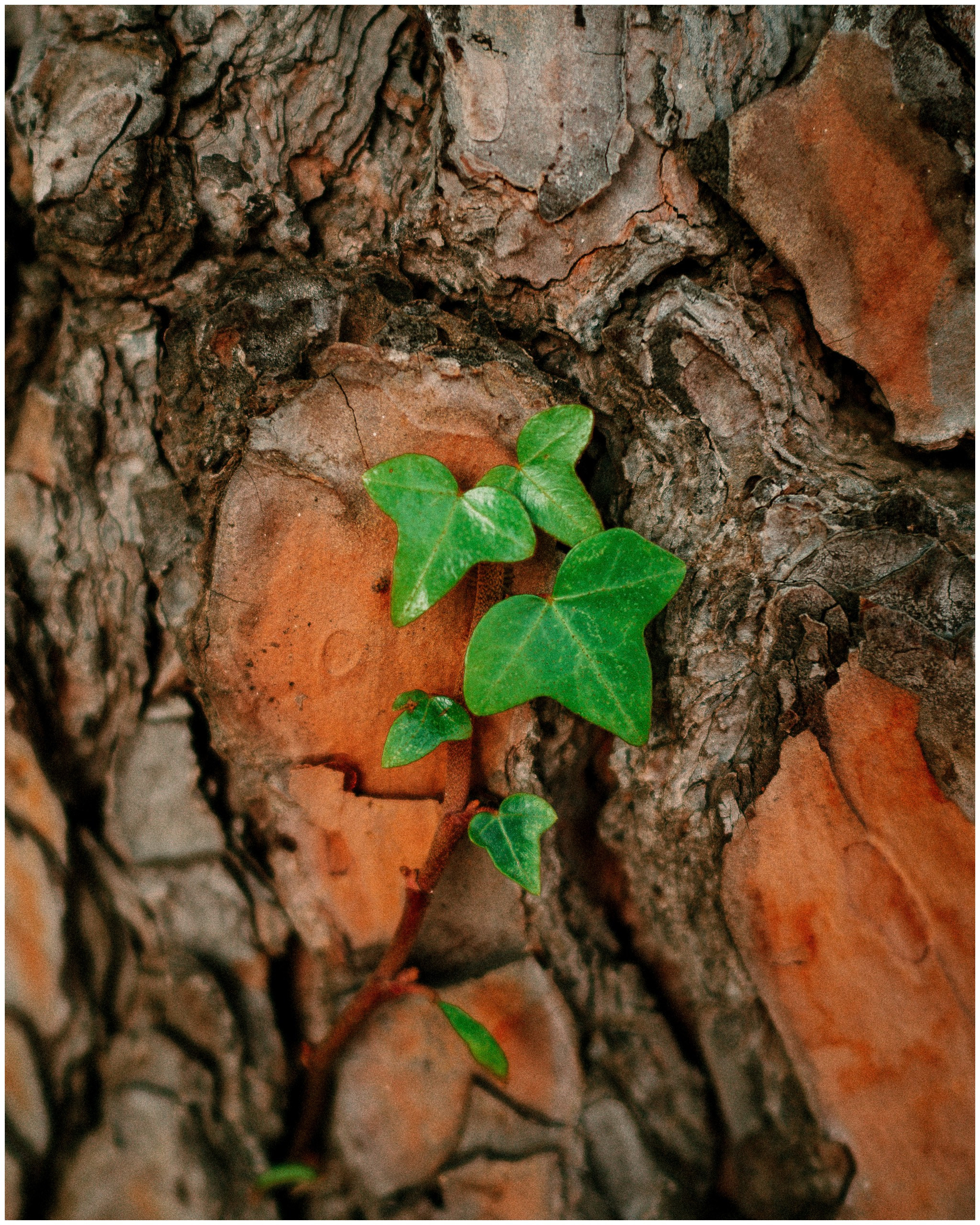 BARCELONA. Inna Mendelson — Photographer