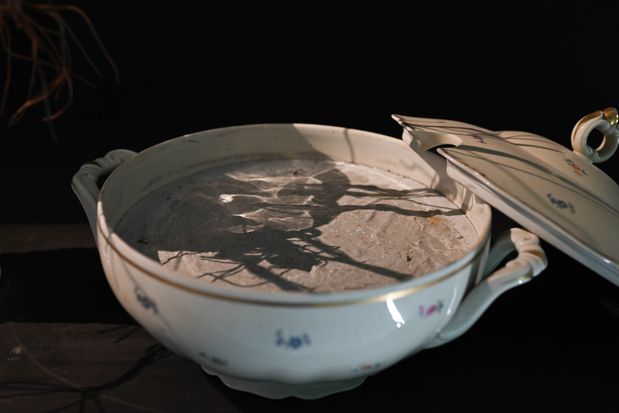 Feed me concrete, 2024-25. Haim Sokol’s artists website