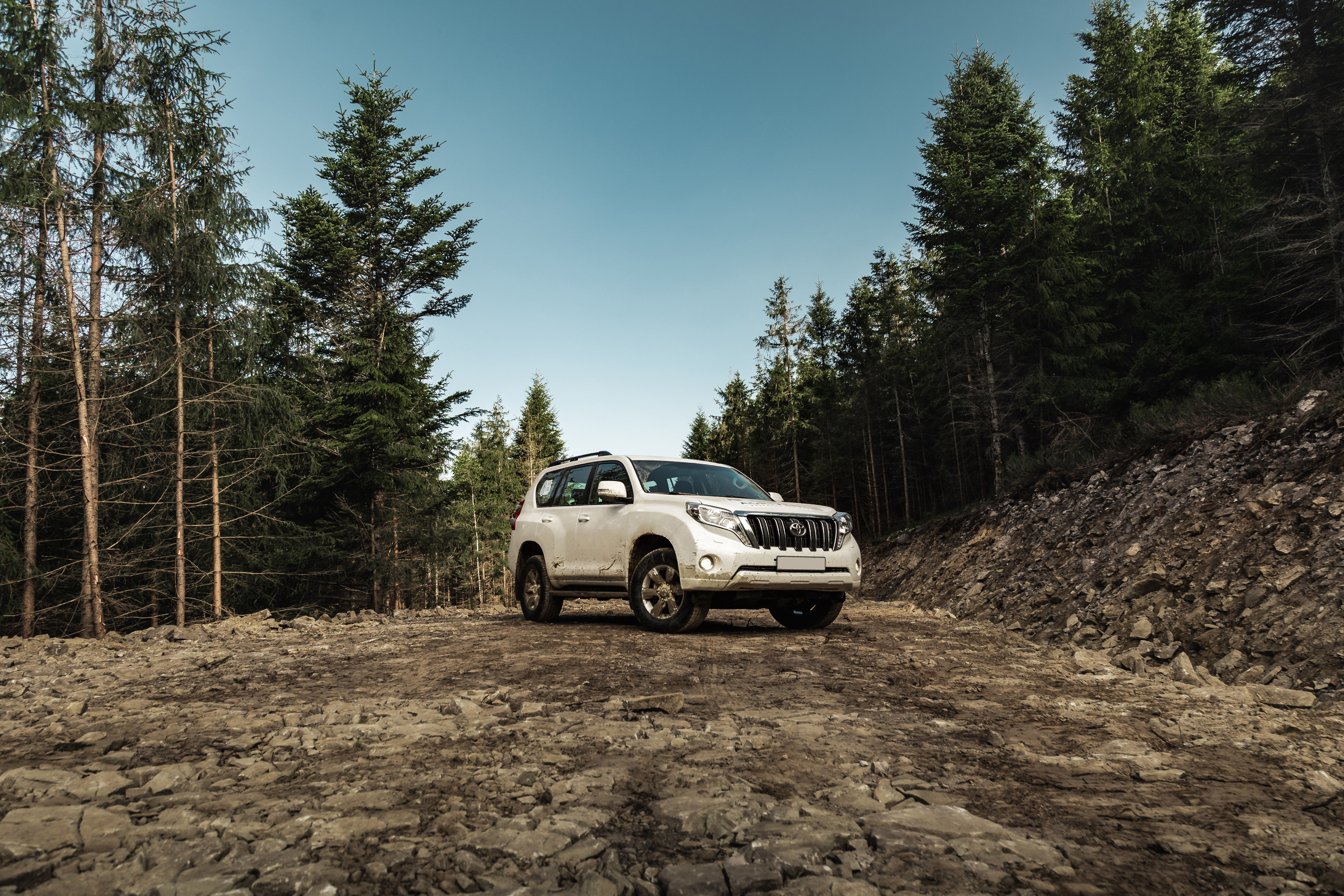 Toyota in the Carpathians. Photographer in Paris — Vitalii Motruk