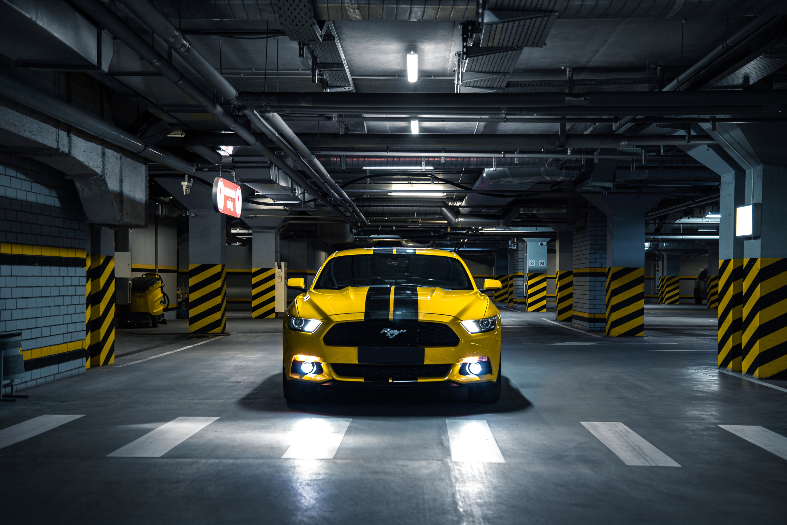 Ford Mustang. Photographer in Paris — Vitalii Motruk