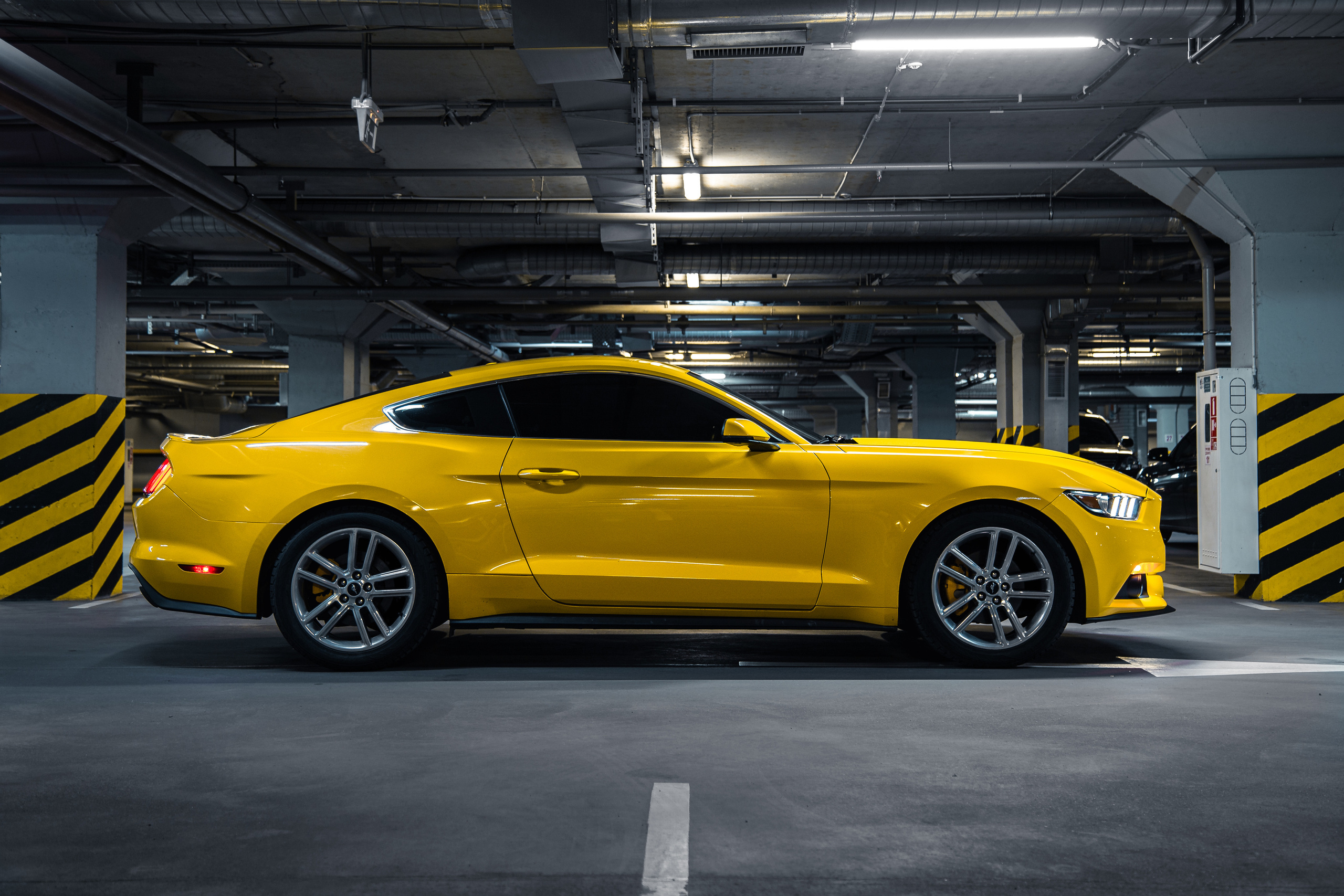Ford Mustang. Photographer in Paris — Vitalii Motruk
