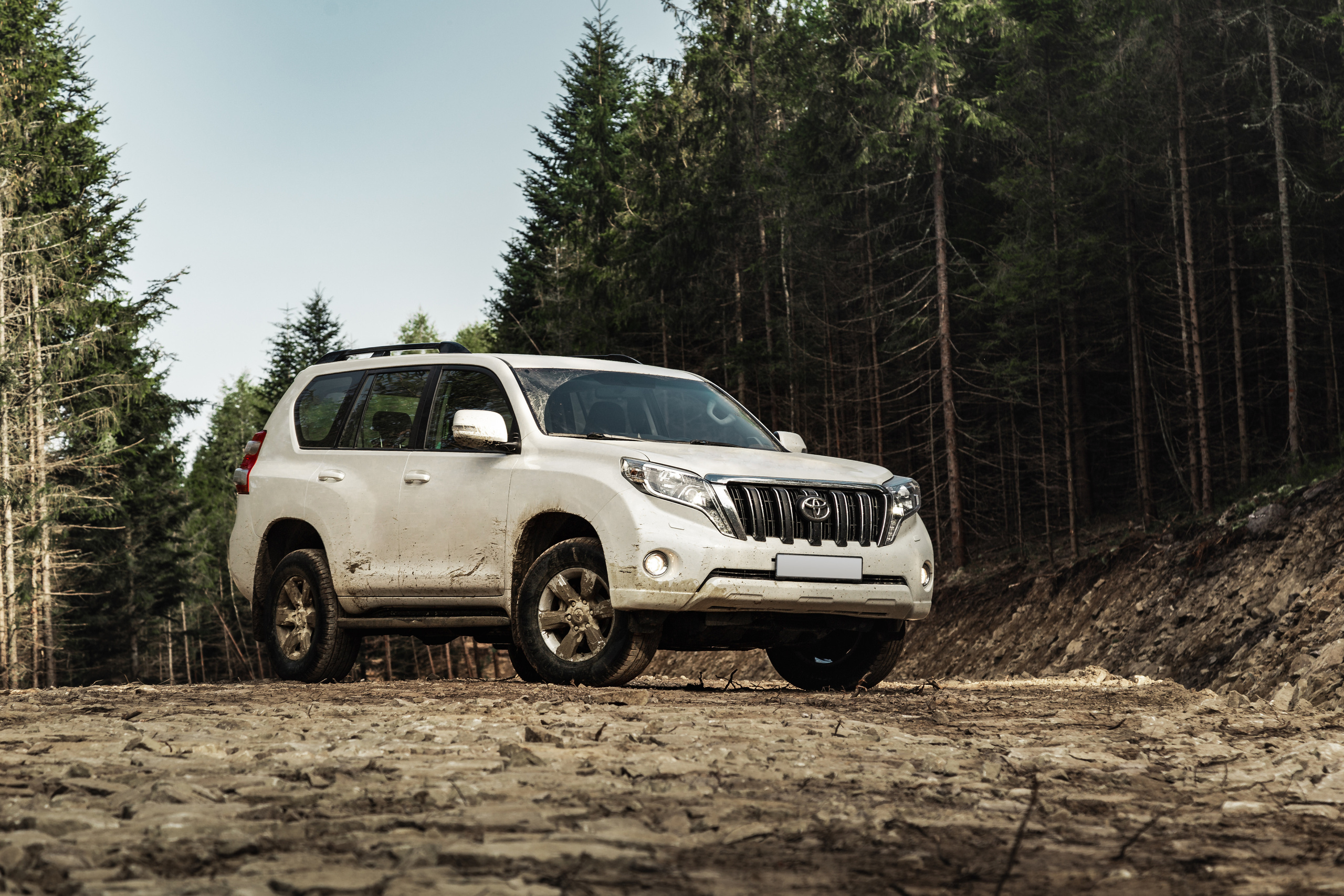 Toyota in the Carpathians. Photographer in Paris — Vitalii Motruk