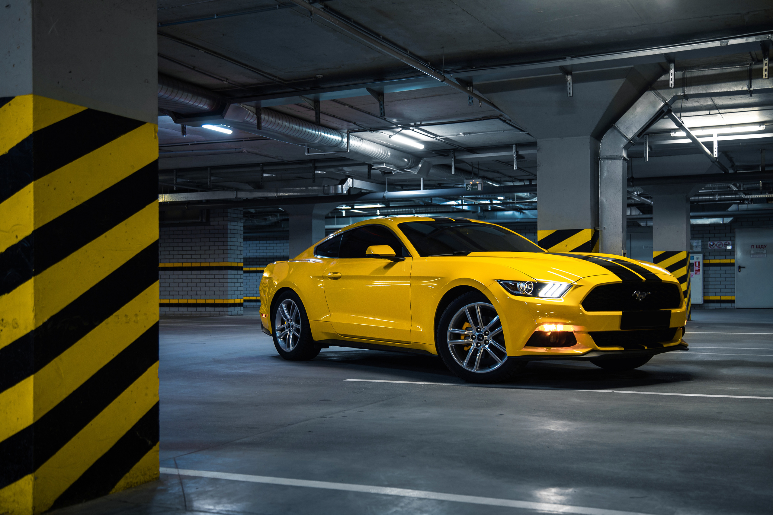 Ford Mustang. Photographer in Paris — Vitalii Motruk