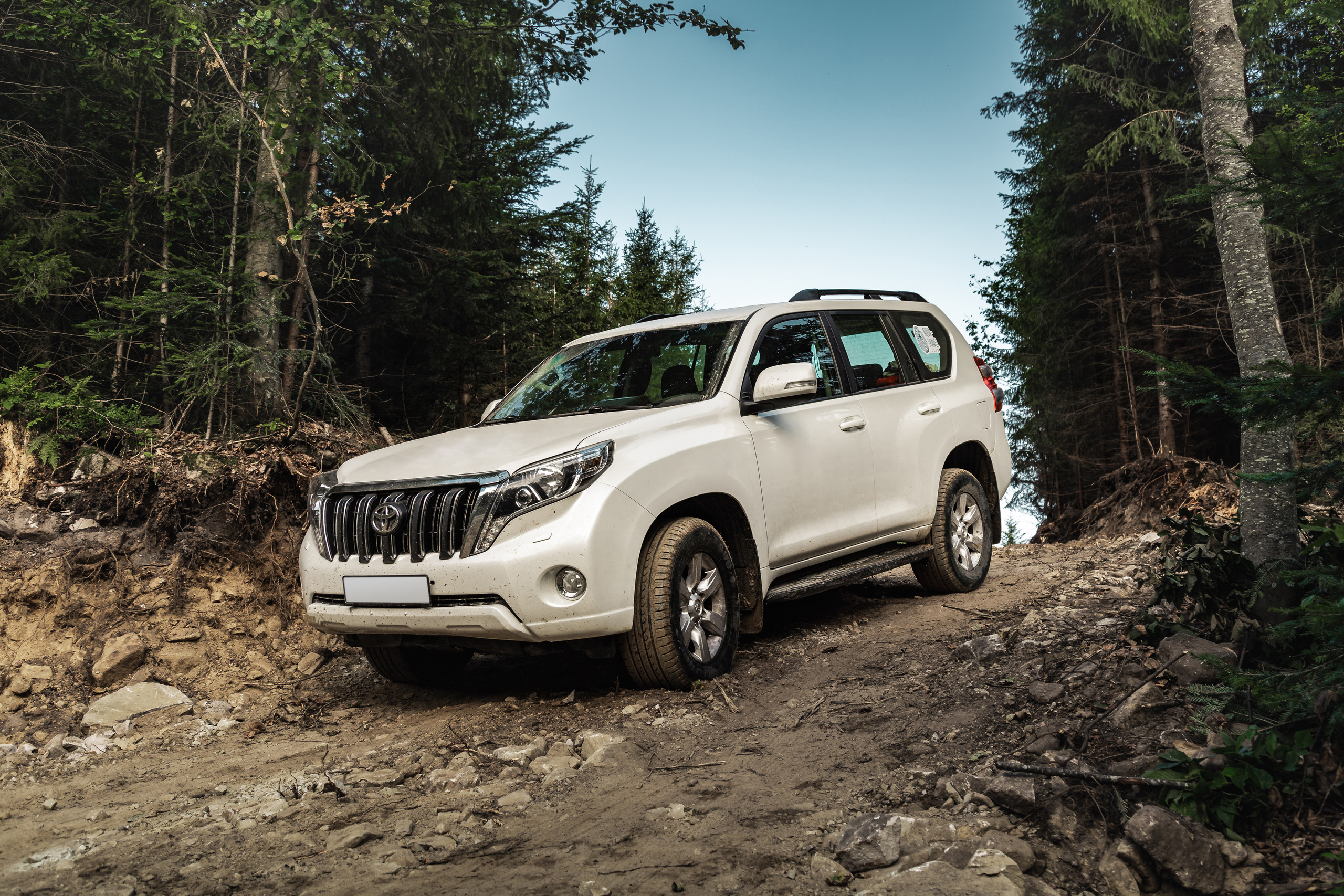 Toyota in the Carpathians. Photographer in Paris — Vitalii Motruk