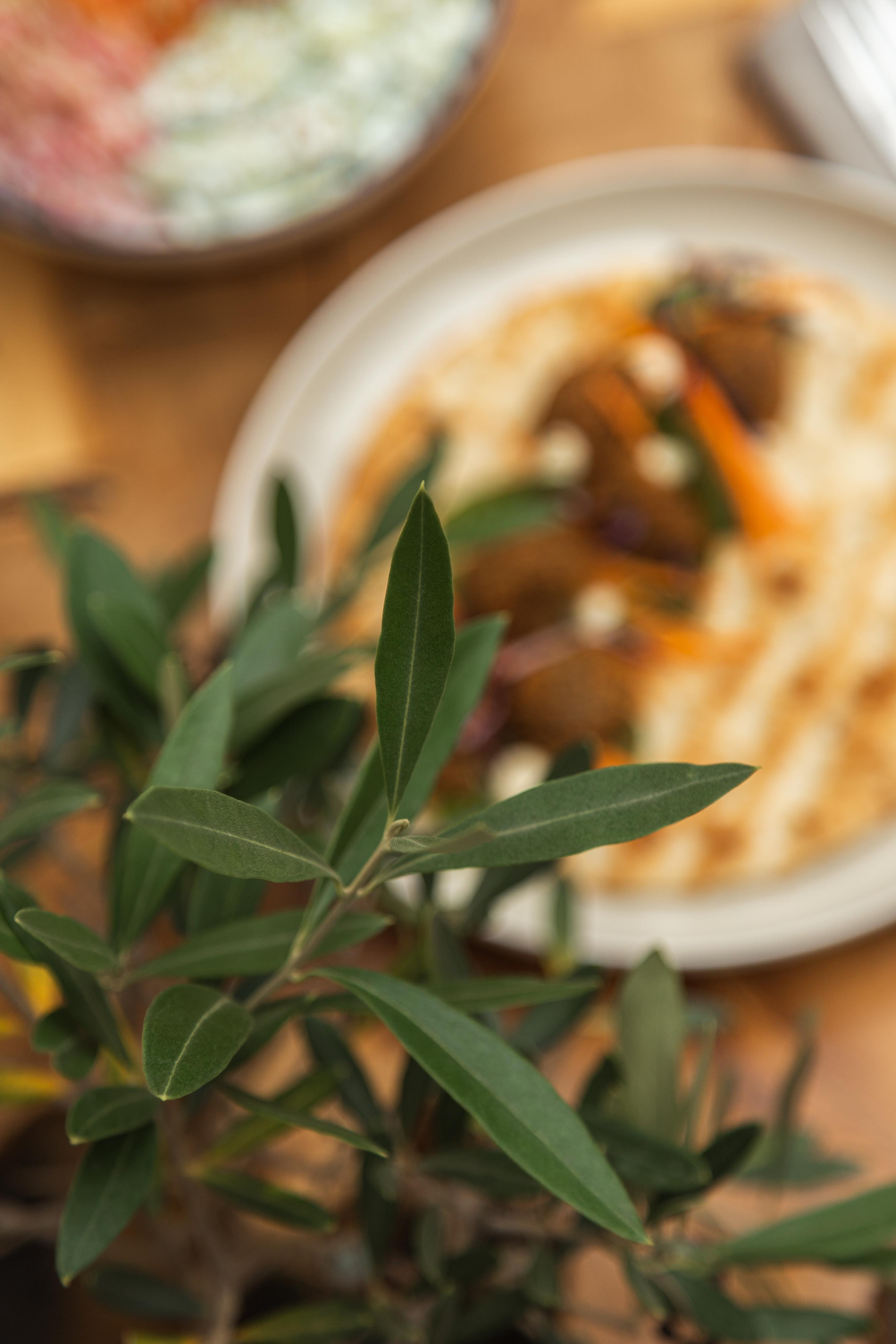 Kambos Lifestyle. Photographer in Paris — Vitalii Motruk