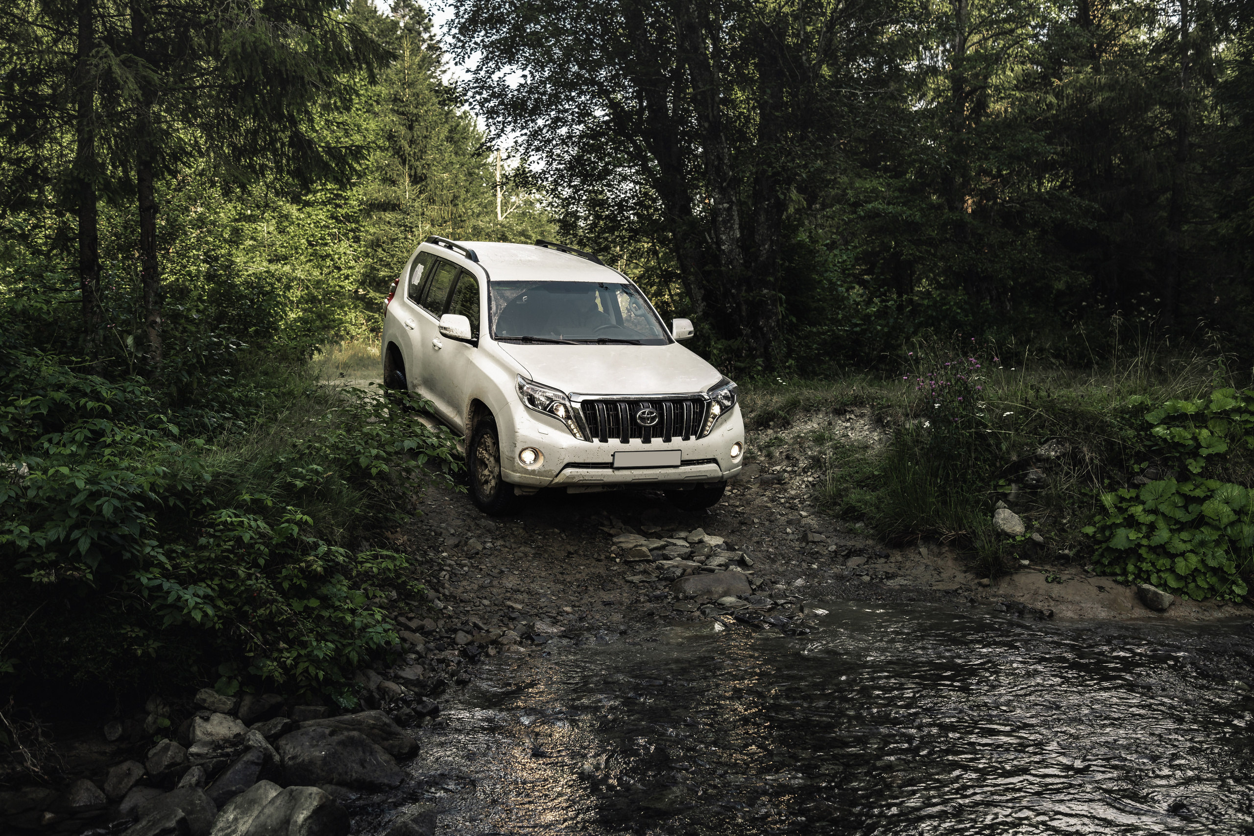 Toyota in the Carpathians. Photographer in Paris — Vitalii Motruk