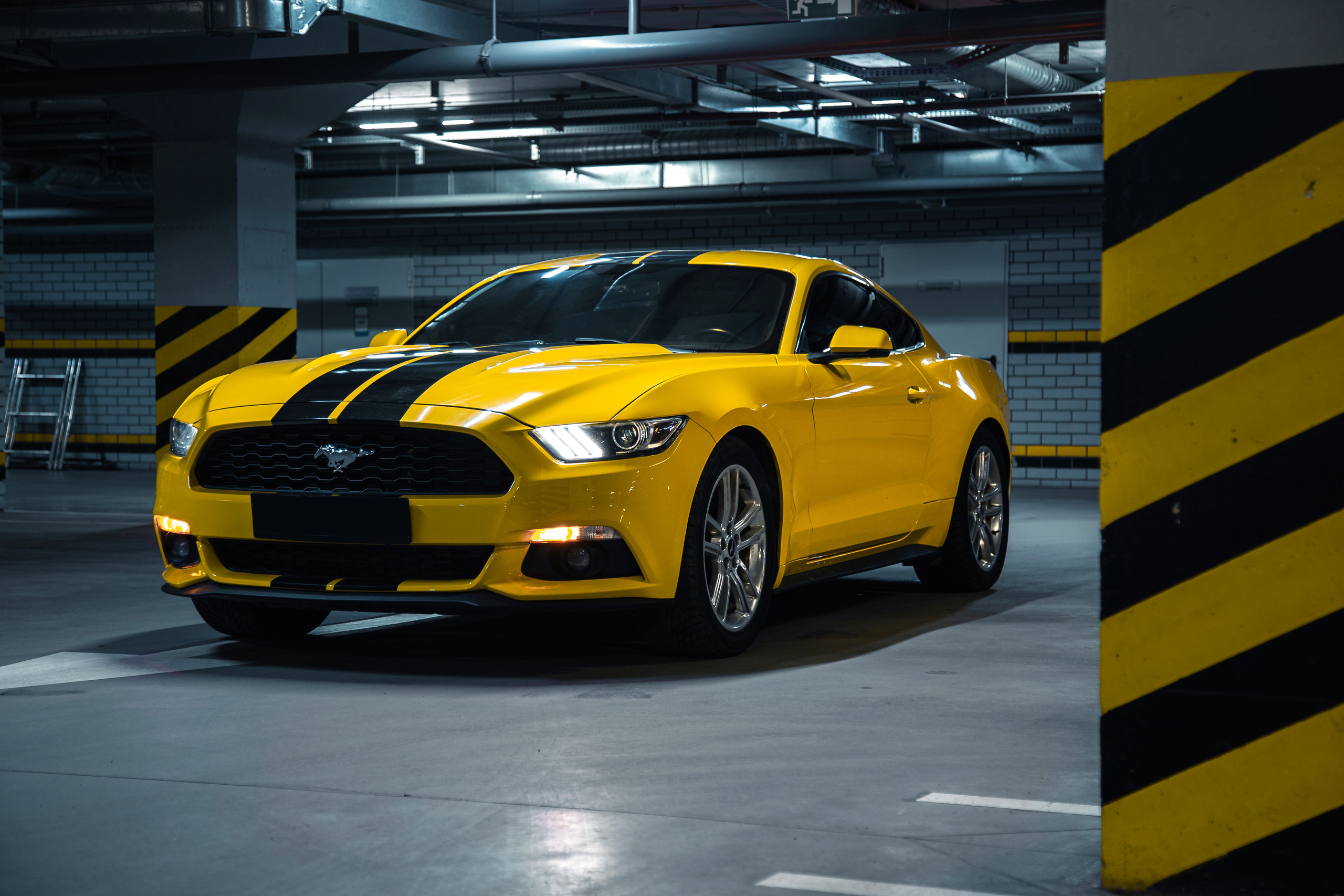 Ford Mustang. Photographer in Paris — Vitalii Motruk