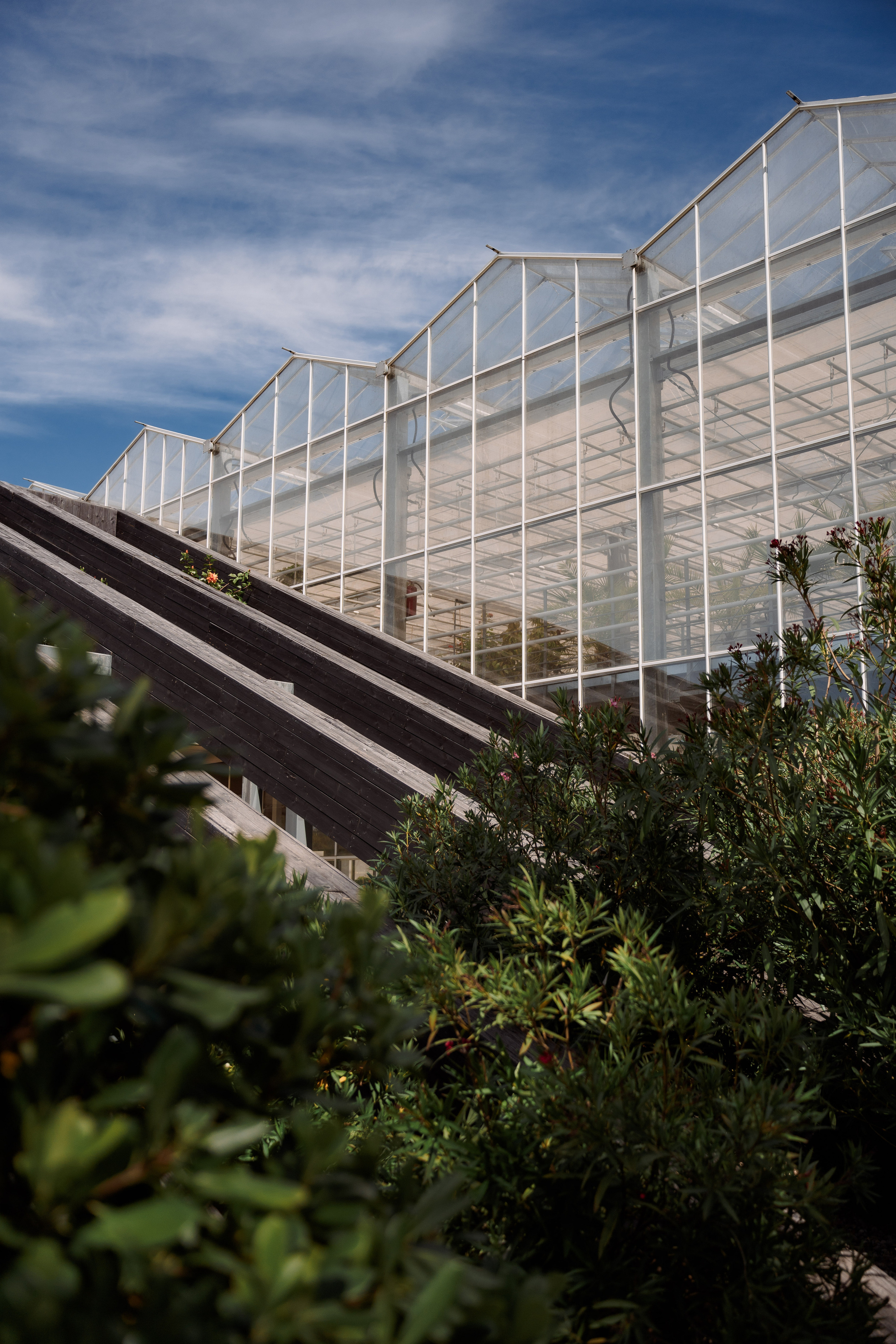 Oksana & Konstantin. Макар Кириков — свадебный и семейный фотограф Даугавпилс, Рига, Вильну