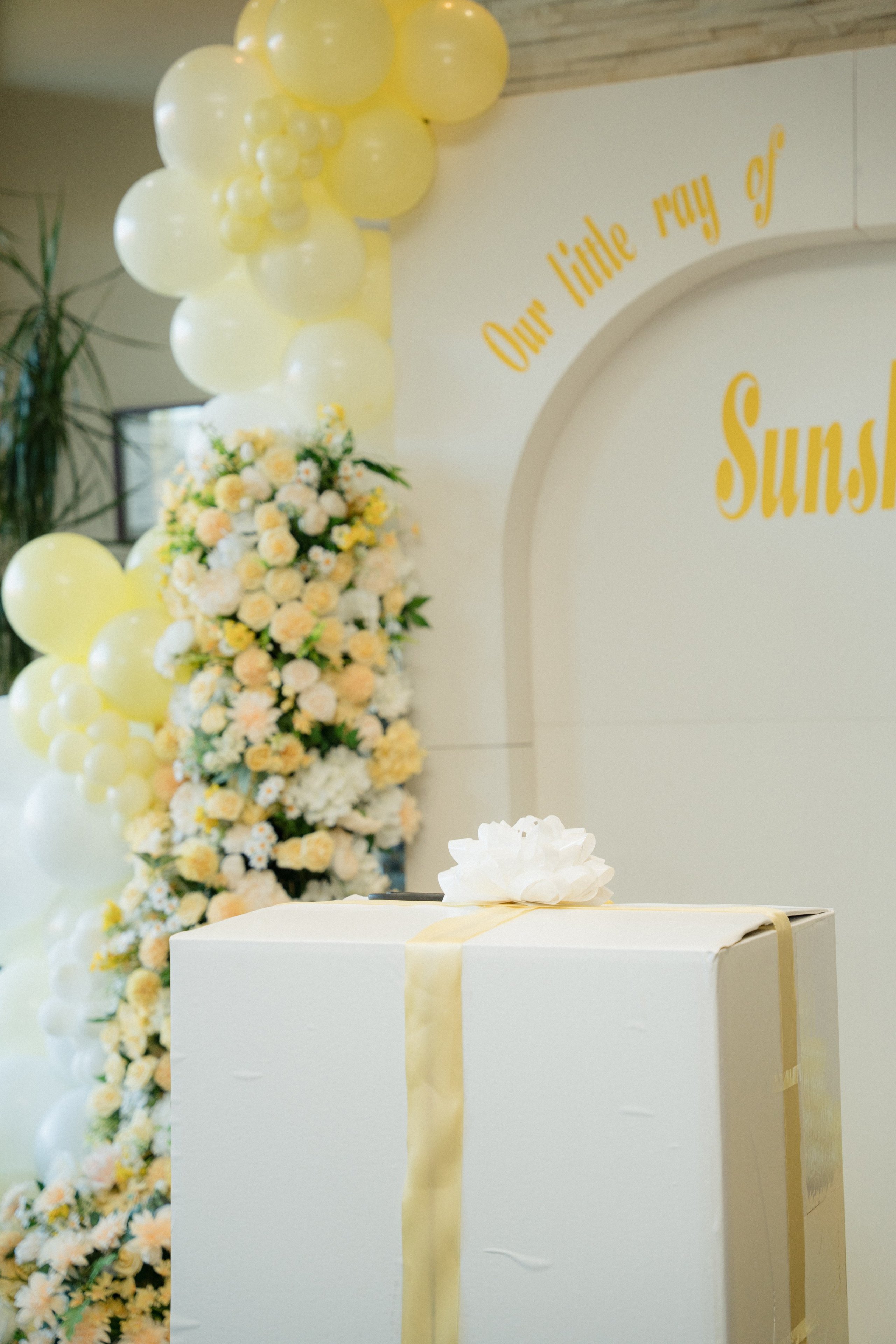 Harshada’s Baby Shower. Photographer in Washington Sophia D